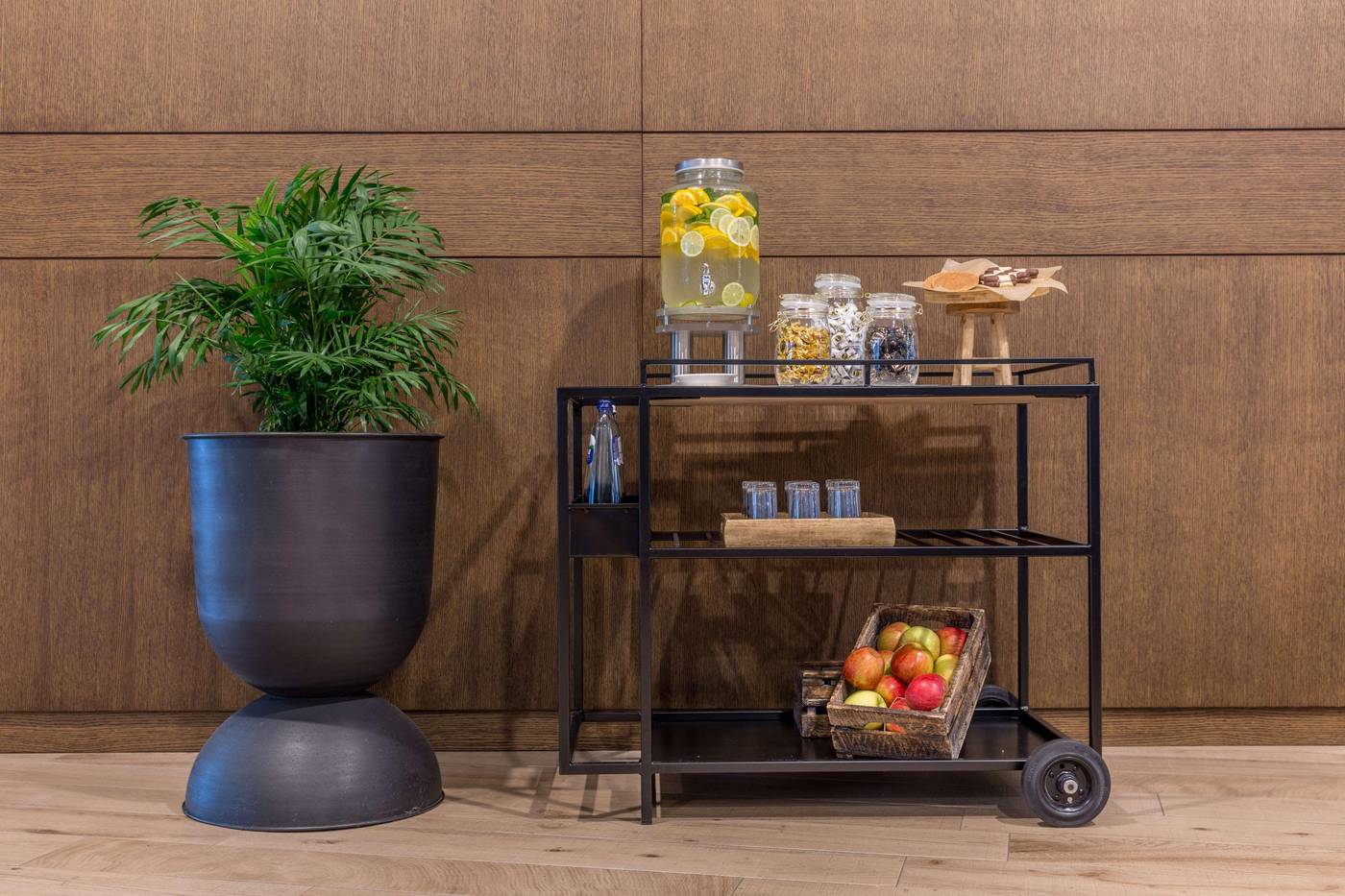 Radisson-Blu-Amsterdam-Airport-Lobby-25