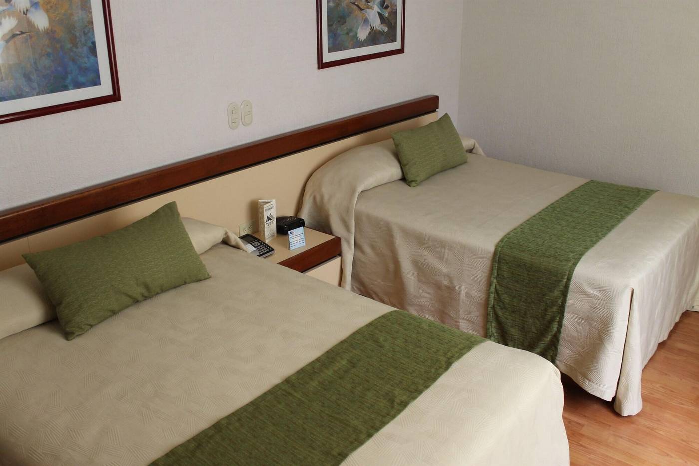 Hotel Manalba-Mexico-MEXICO CITY-Room-7