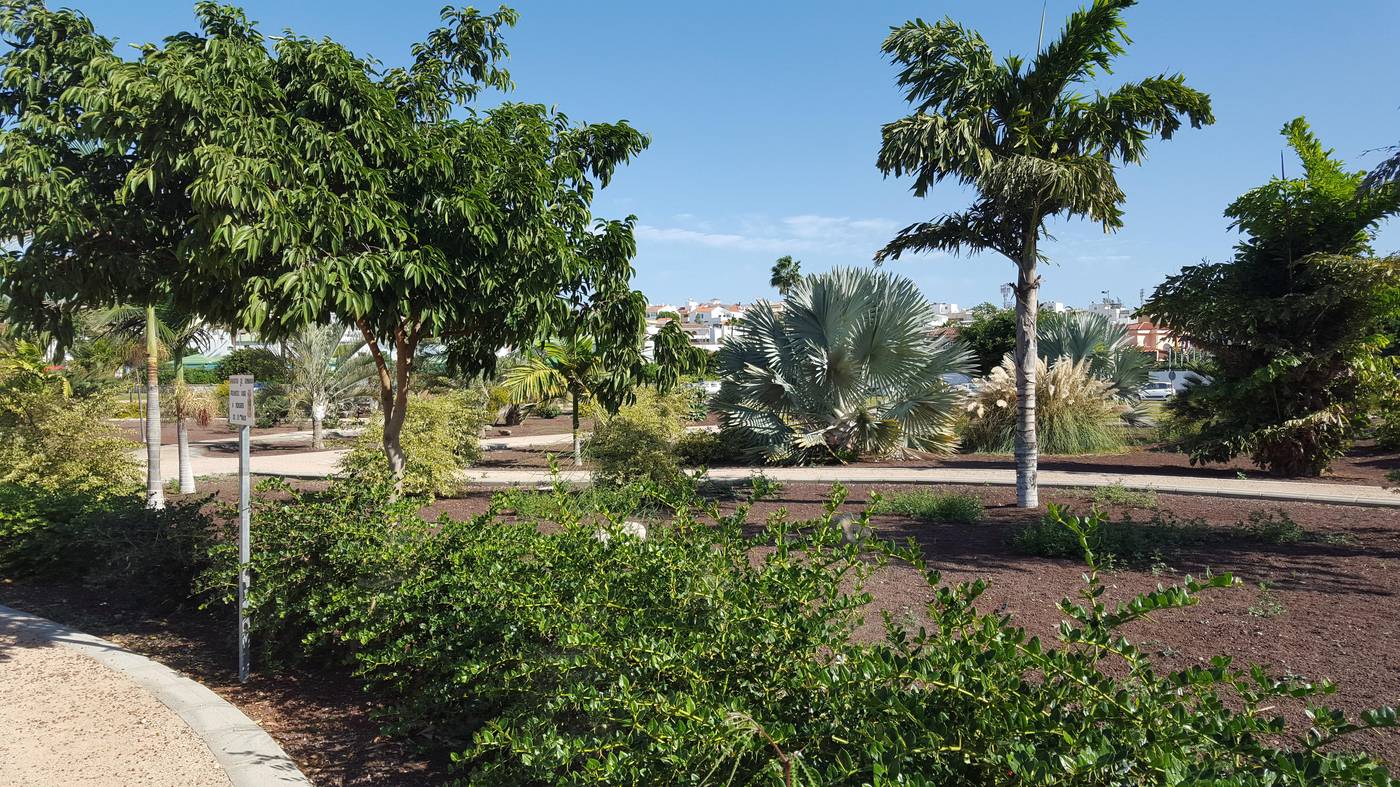 Capri-Sports-and-Entertainment-14