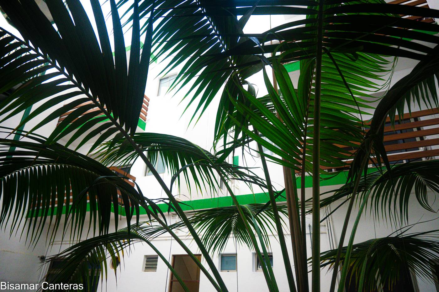 Brisamar-Canteras-Room-39