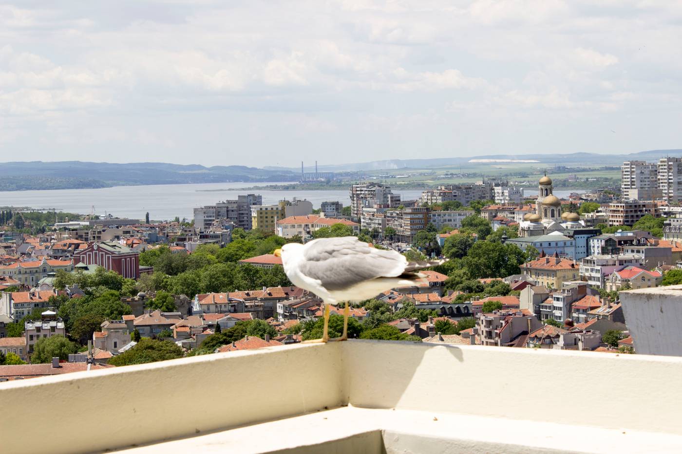 Hotel-Cherno-More-Terrace-35