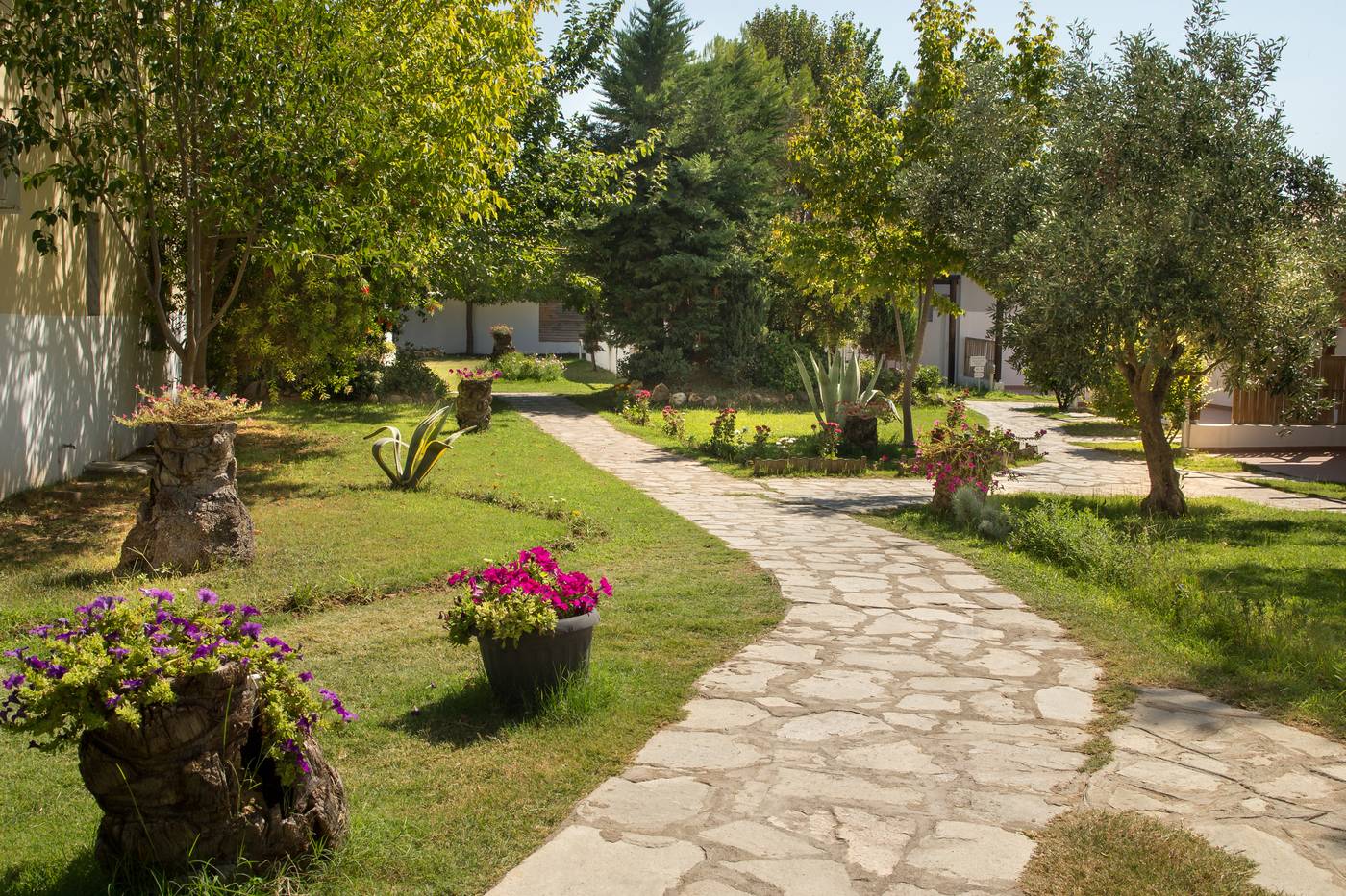 Coral-Blue-Beach-General-view-28