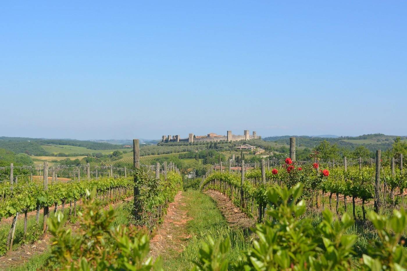 La Caminata-Italy-MONTERIGGIONI -General view-10