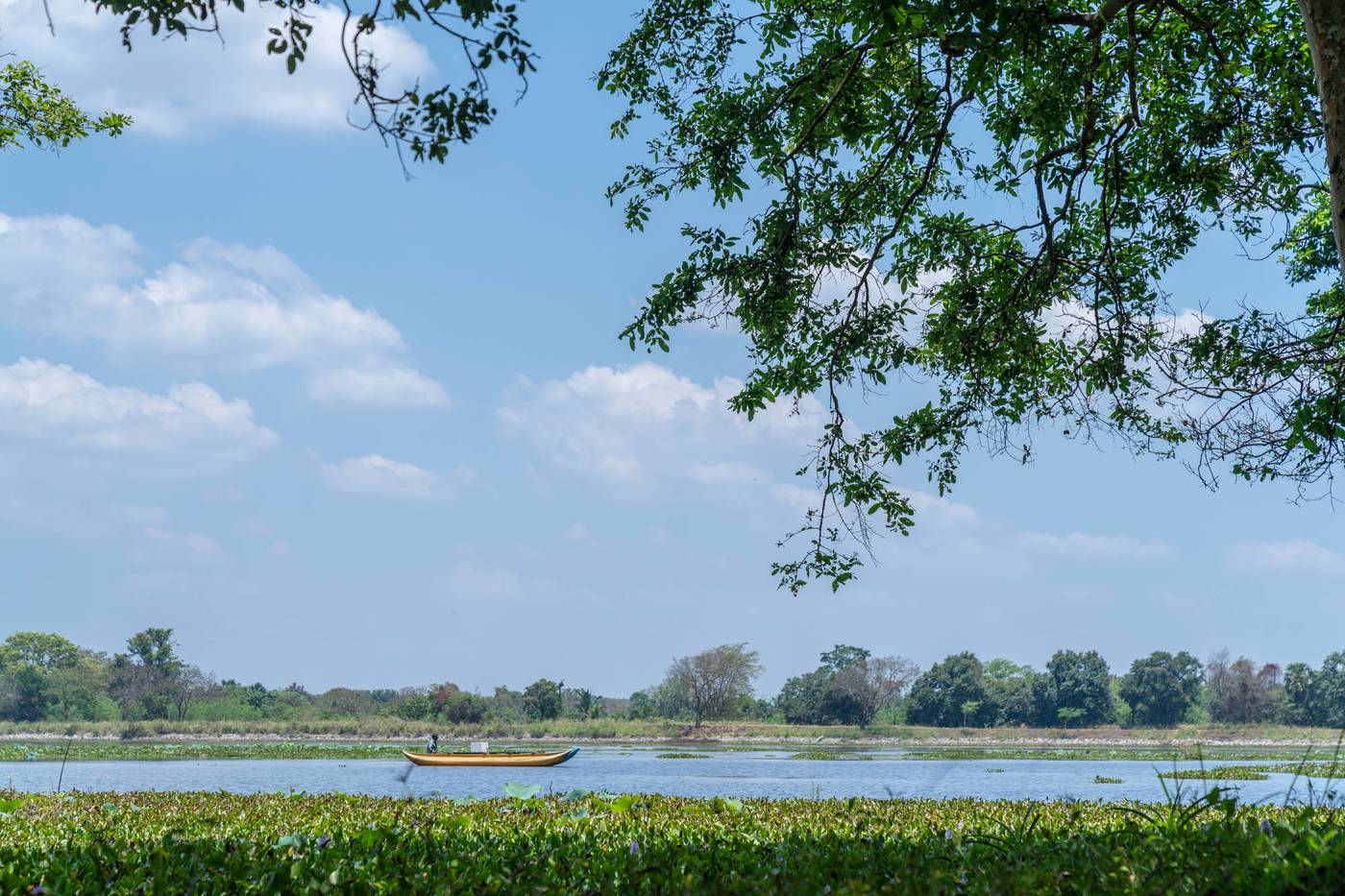 Cinnamon-Lodge-Habarana-Room-50