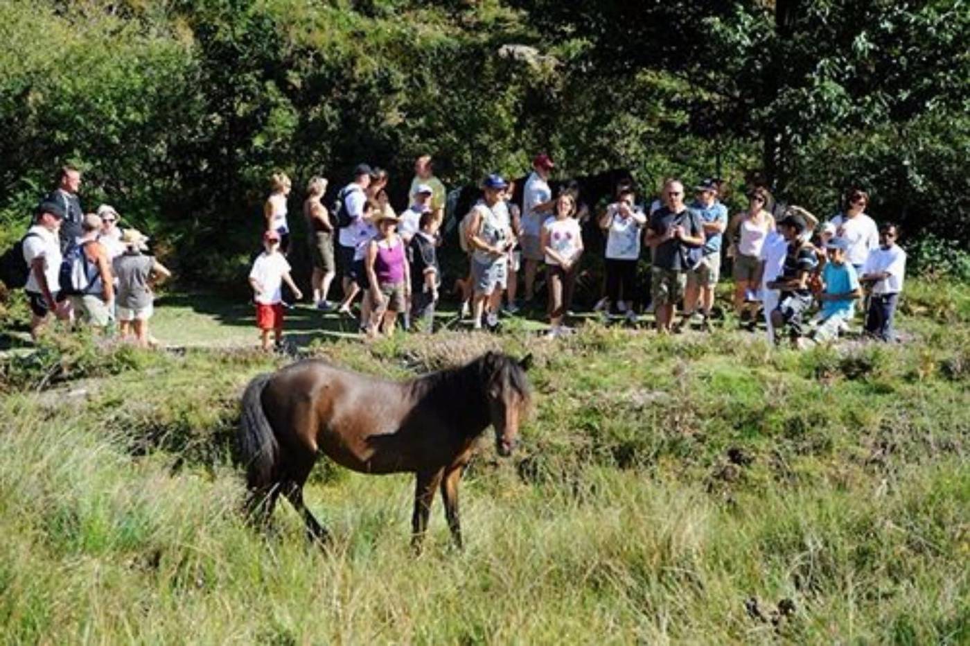 Village Club Le Saint Ignace-France-ASCAIN-General view-10
