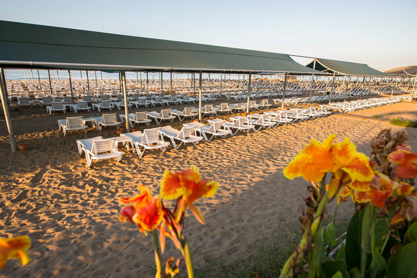 Palm World Resort & Spa