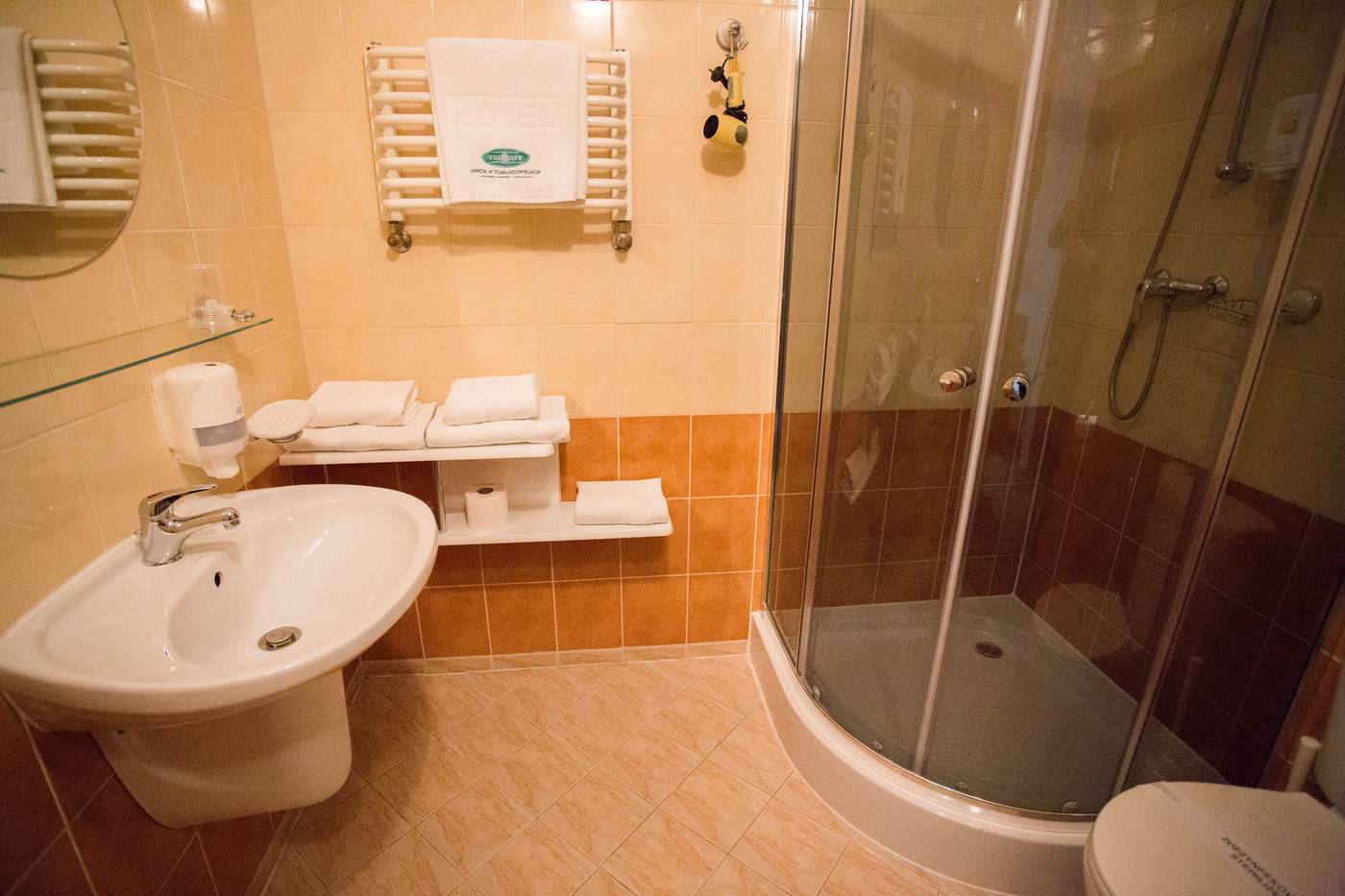 Dwor-w-Tomaszowicach-Room-39