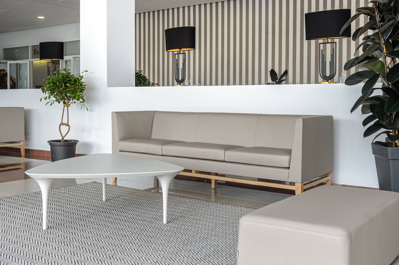 Apartamentos-Playasol-Riviera-Lobby-39