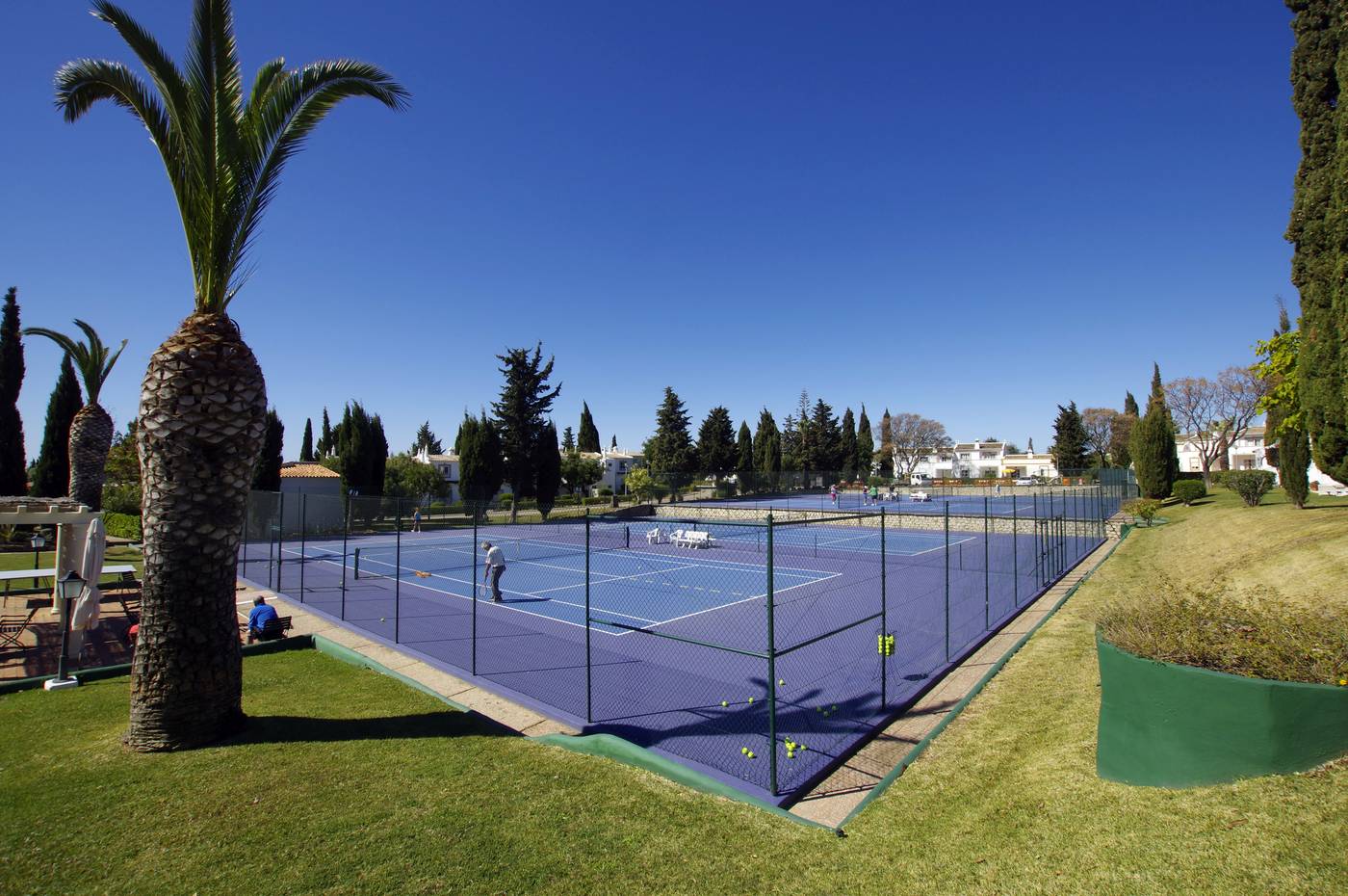 Rocha-Brava-Sports-and-Entertainment-19