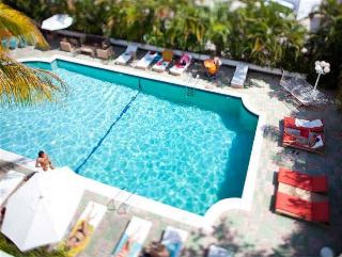 Suites of Dorchester - United States - MIAMI BEACH - Pool - 1
