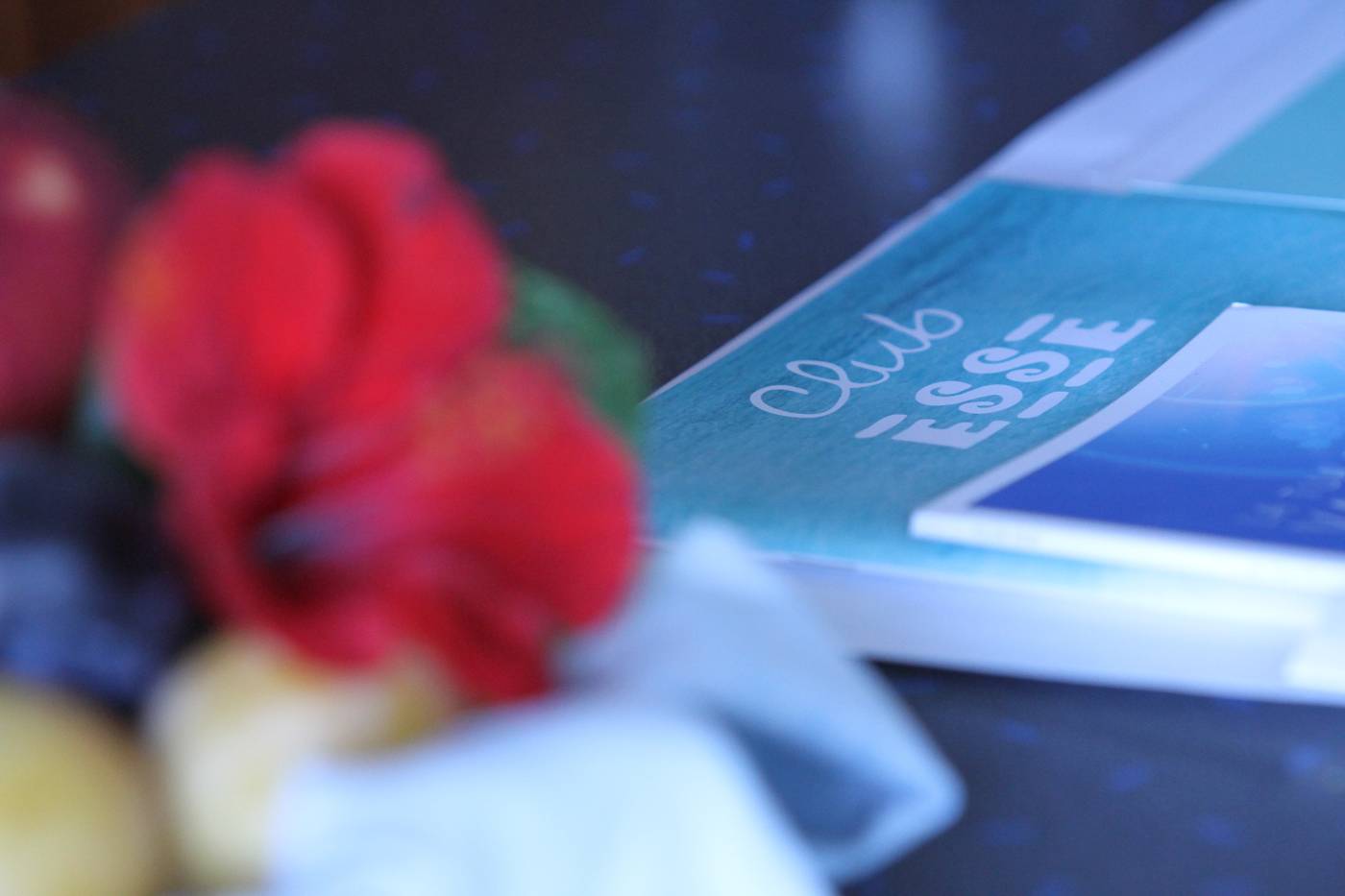 Club-Esse-Roccaruja-Lobby-26