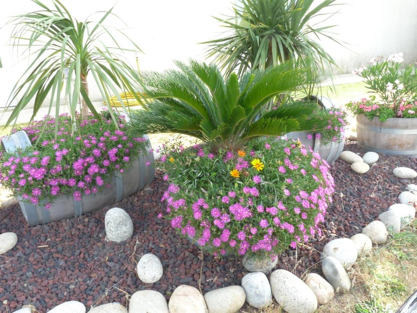 Brit Hotel Bosquet-France-CARCASSONNE-General view-9