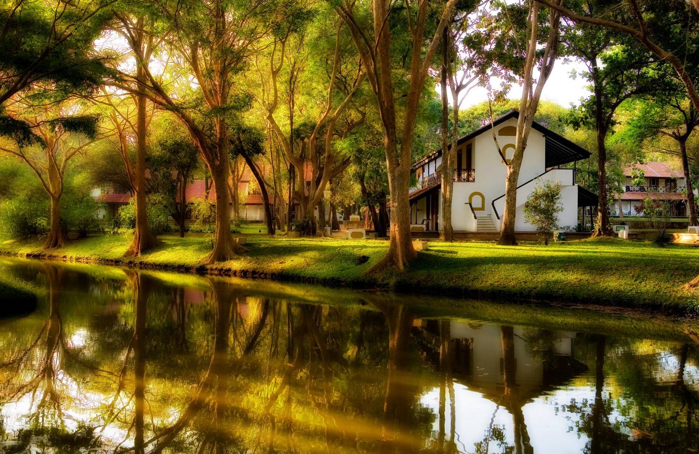 Cinnamon Lodge Habarana-Sri Lanka-HABARANA-General view-2