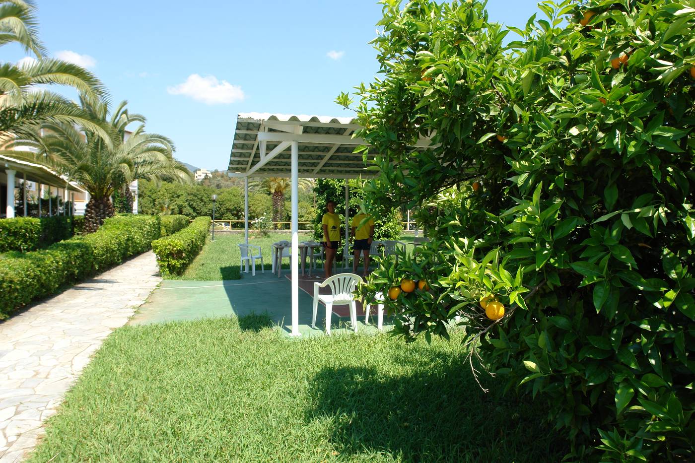 Livadi-Nafsika-Terrace-6