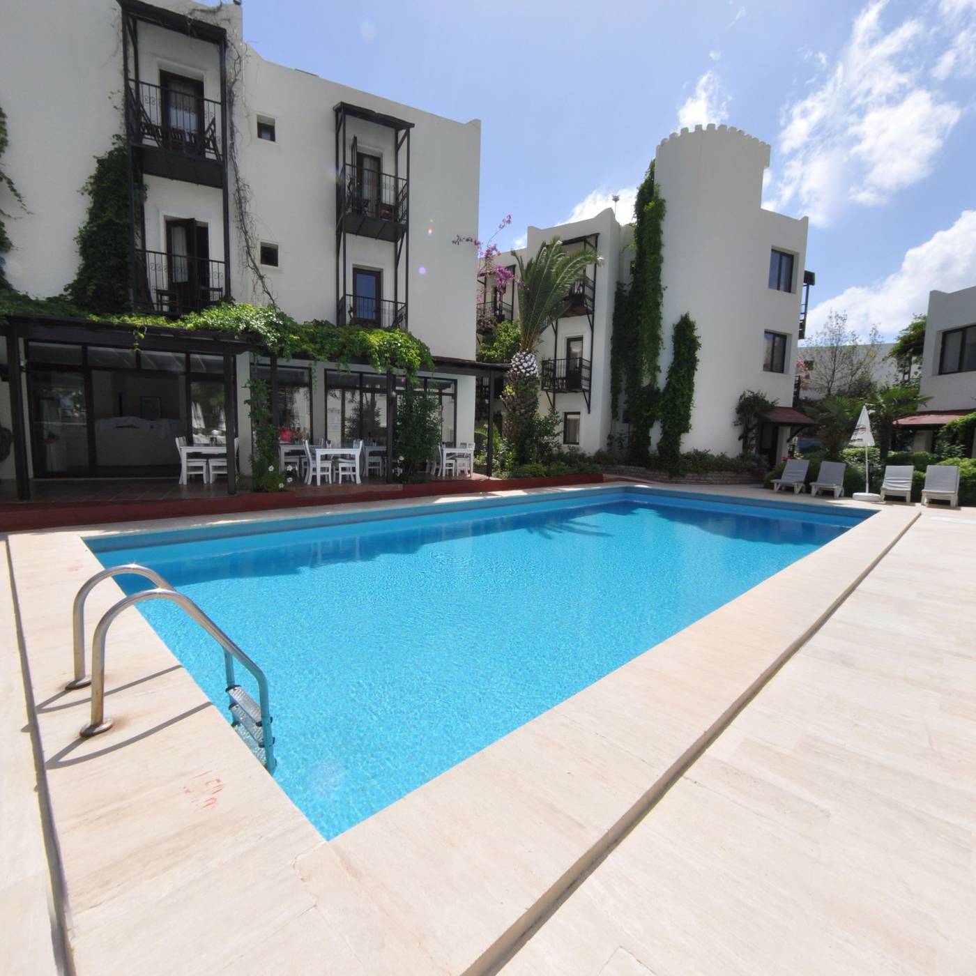 Paloma-Pool-3