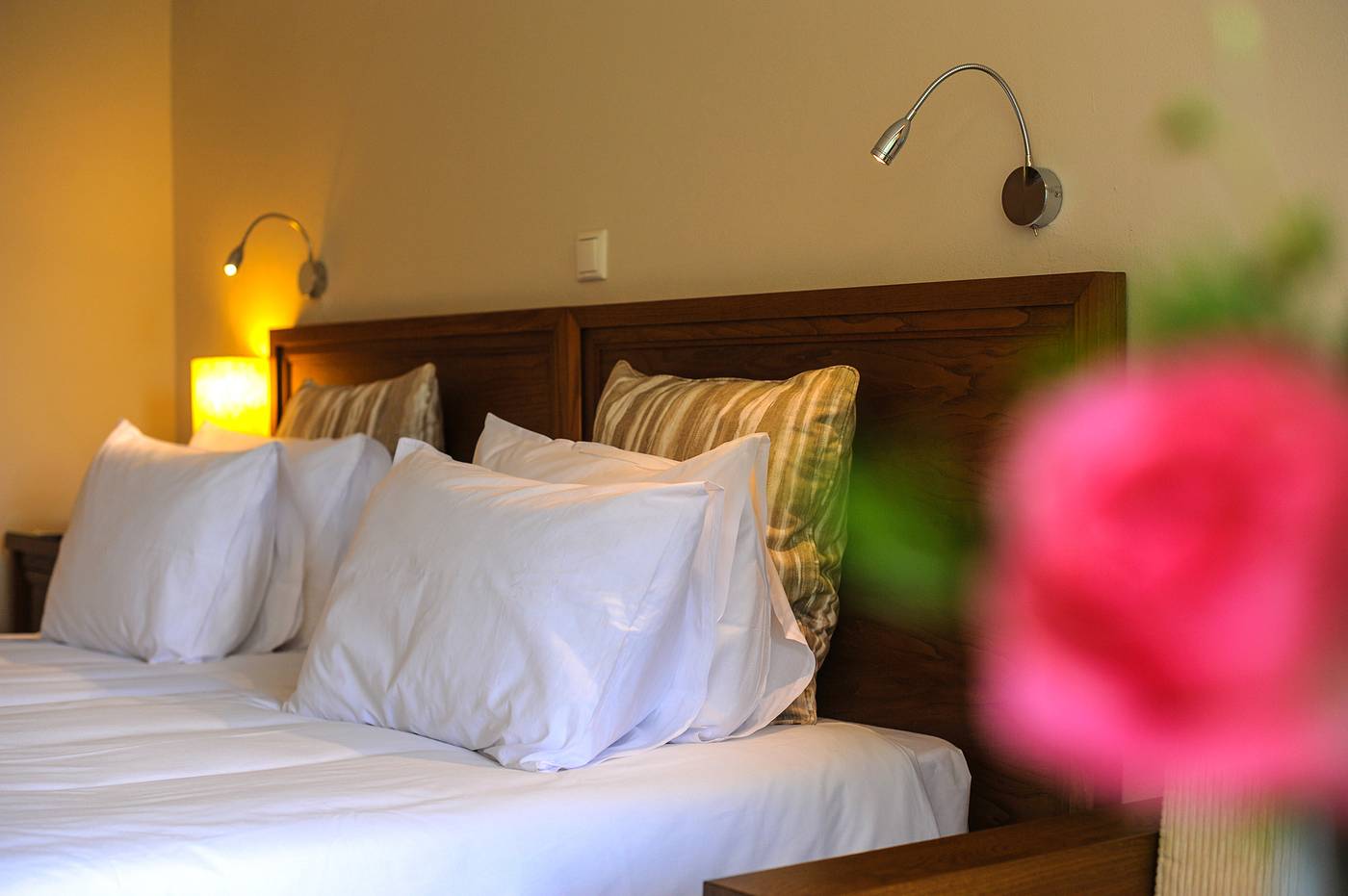 Mitsis-Alexander-The-Great-Room-31