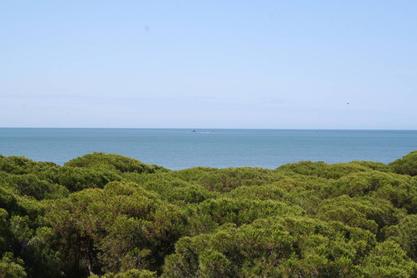 Vime-Islantilla-Terrace-21