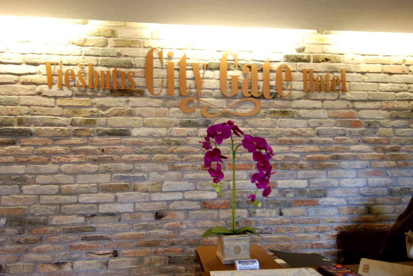 City Gate-Lithuania-VILNIUS-Lobby-8