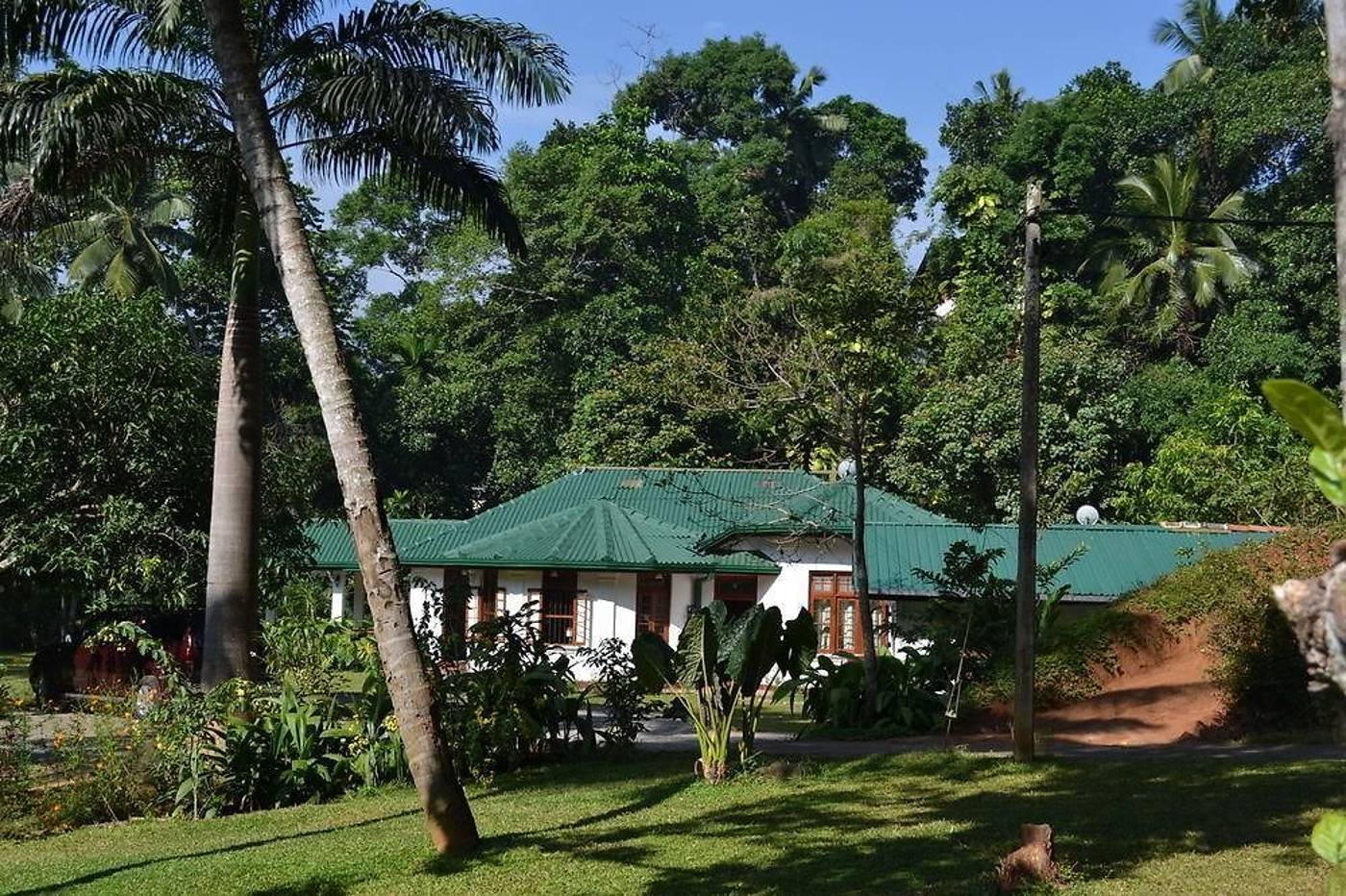 Sweet-Cinnamon-General-view-9