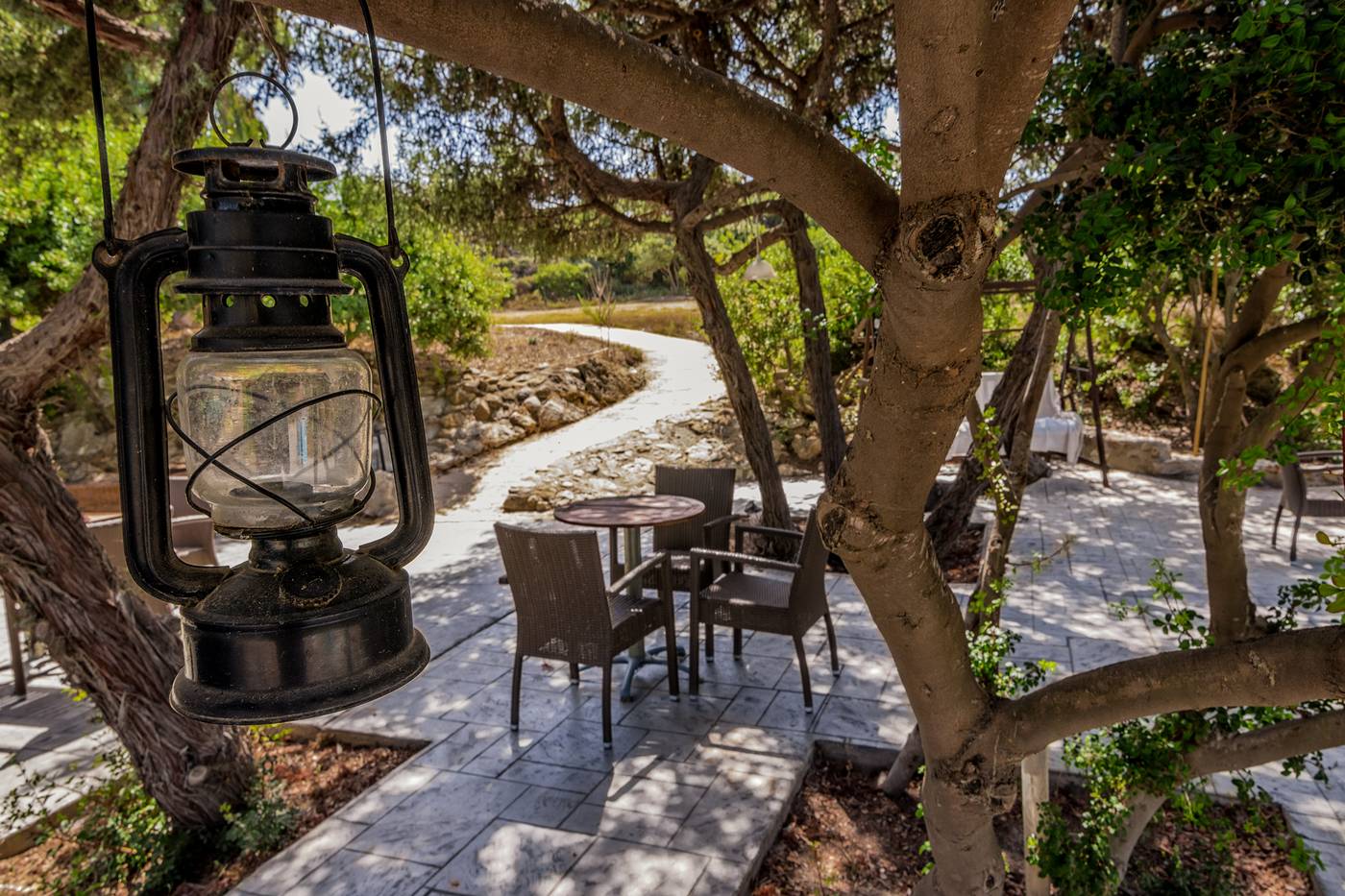 The-Small-Village-Sports-and-Entertainment-22