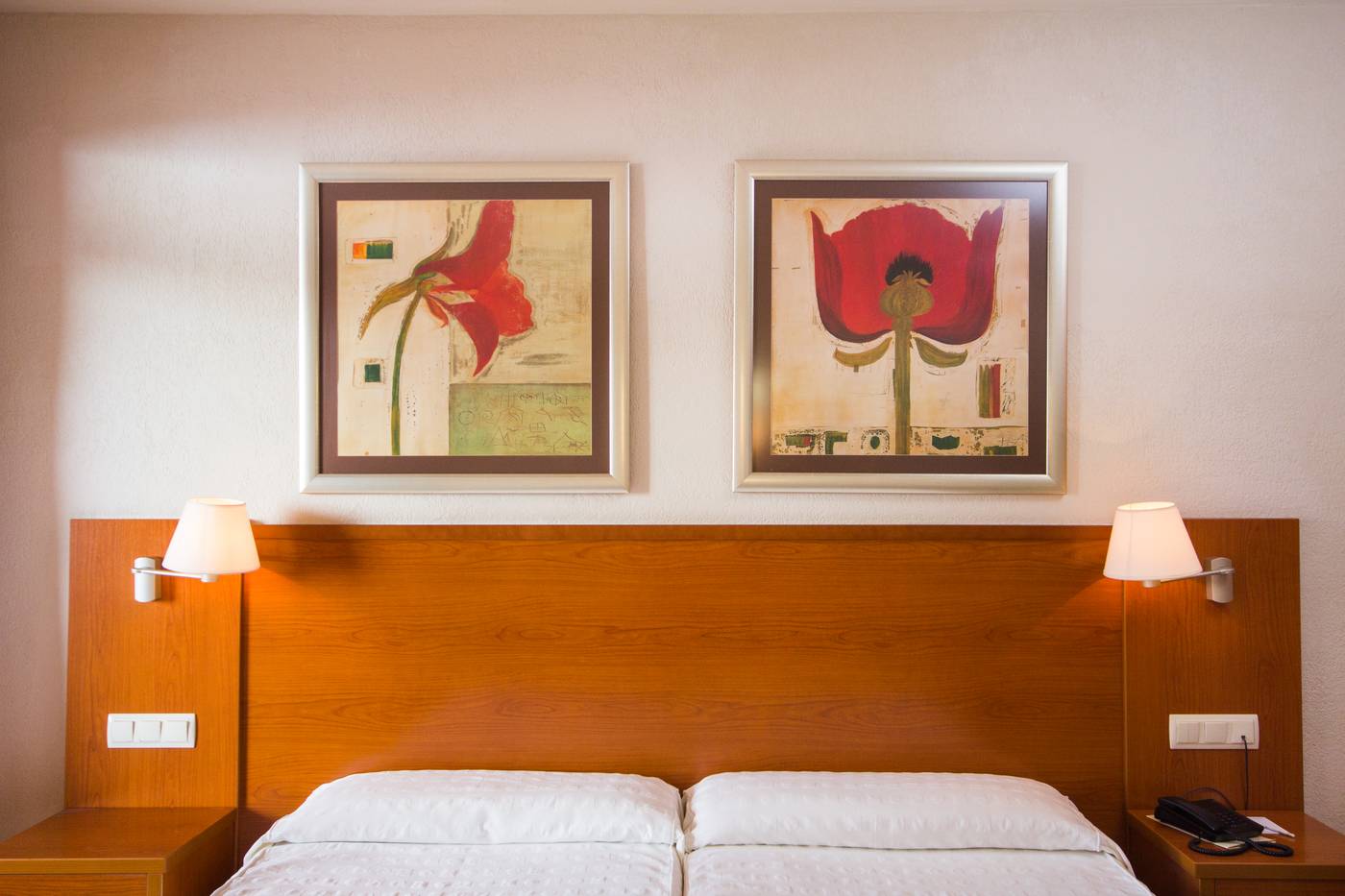 Las-Palmeras-Room-28