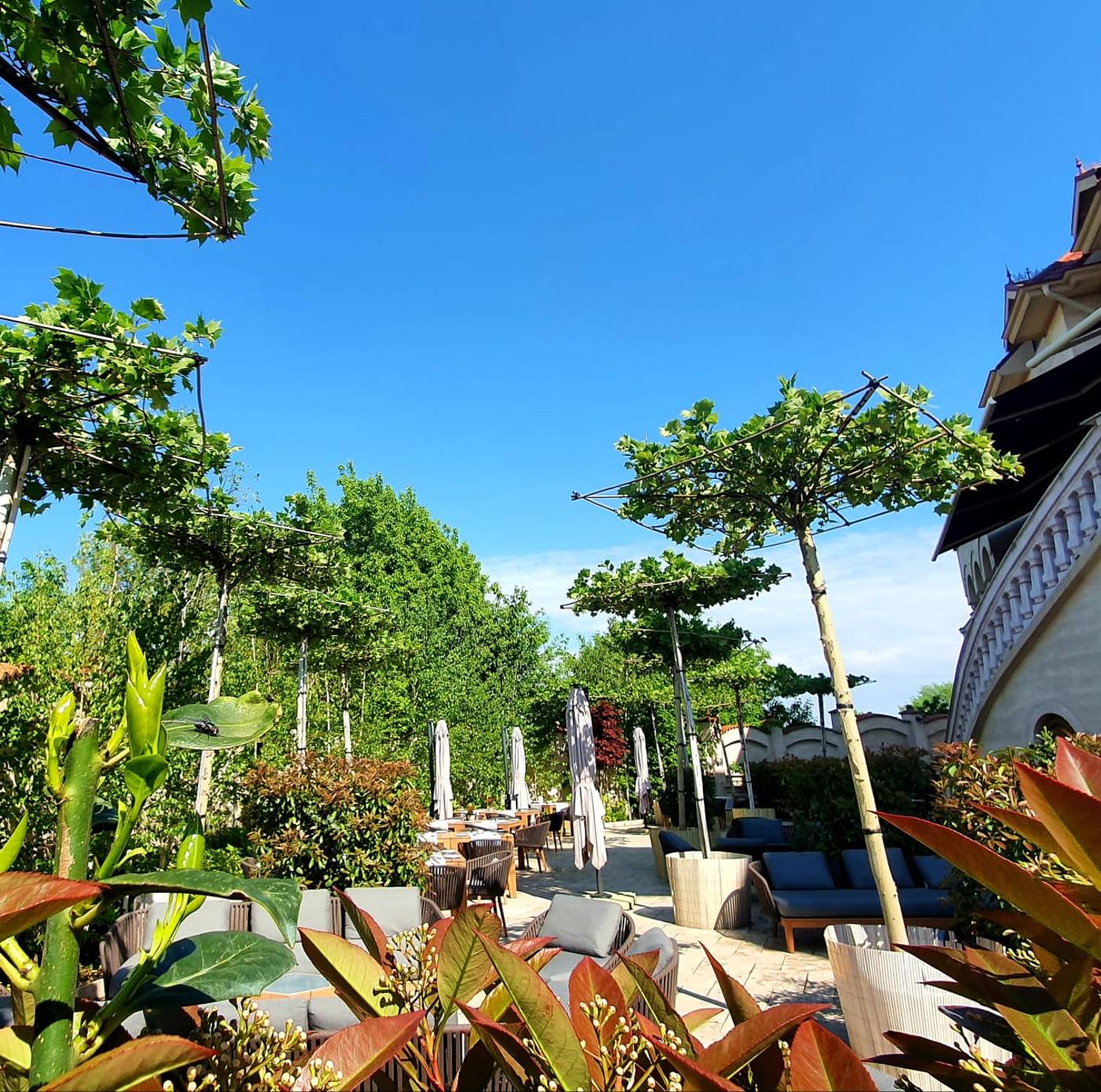 Suter Palace Heritage Boutique Hotel - Romania - Bucharest - Terrace - 7