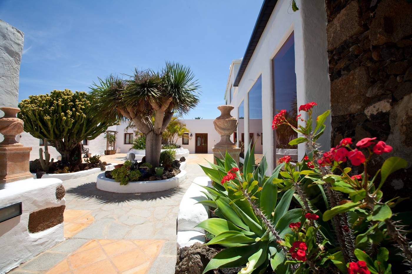 Casa-de-Hilario-Terrace-3