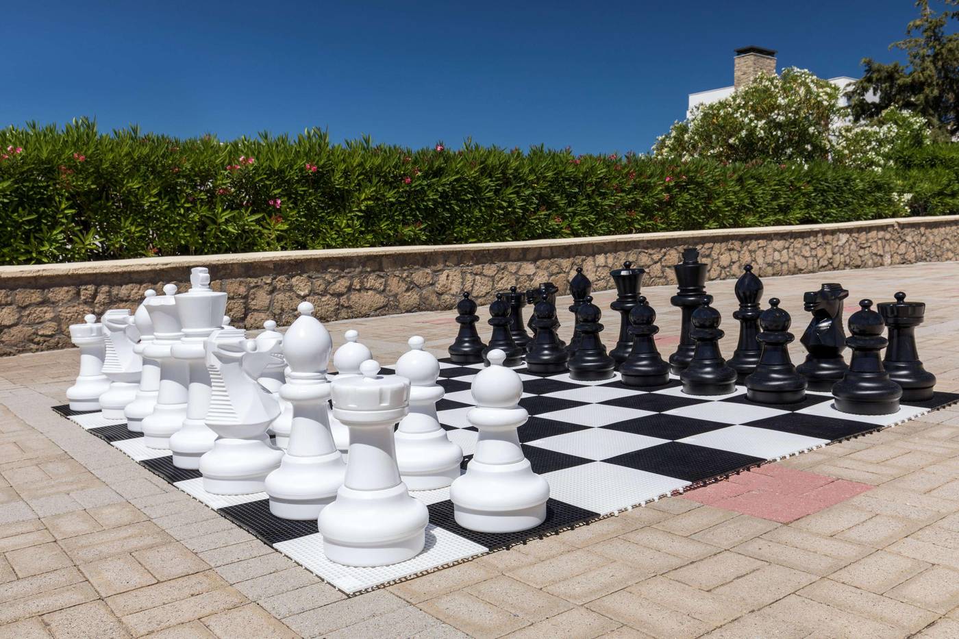 Princess-Sun-Sports-and-Entertainment-20