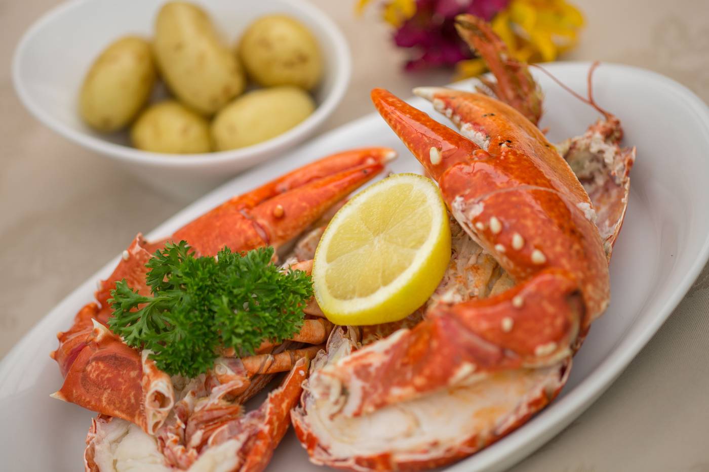 La-Barbarie-Restaurant-25