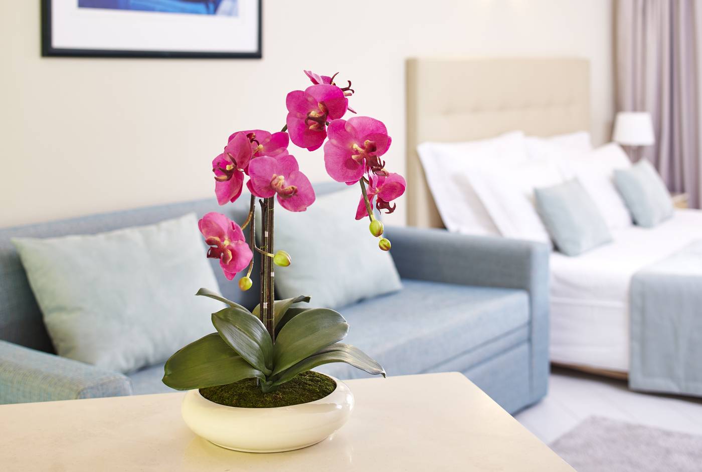 Luna-Clube-Oceano-Room-26