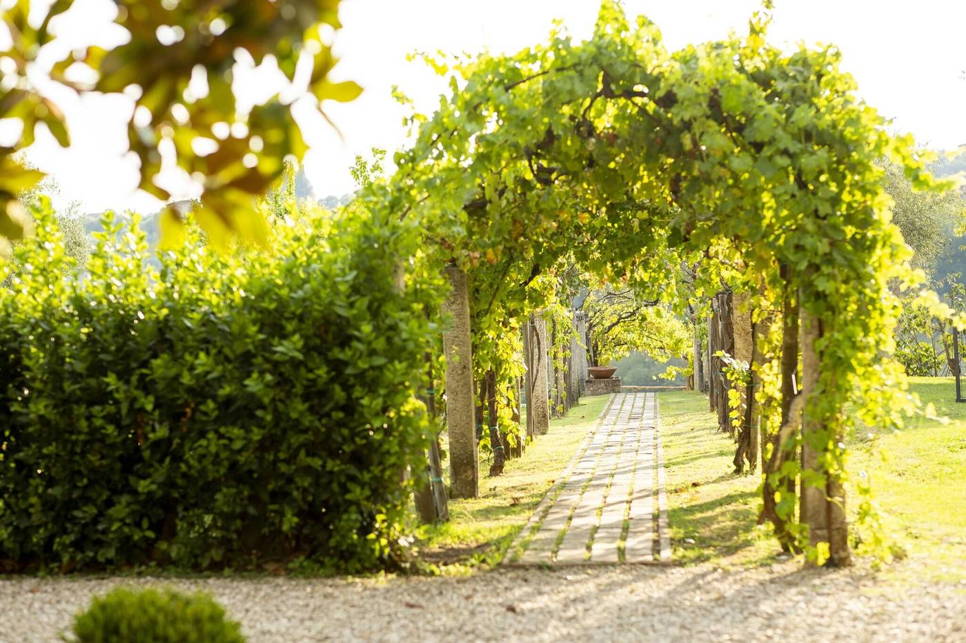 Certosa di Maggiano-Italy-Siena -General view-6