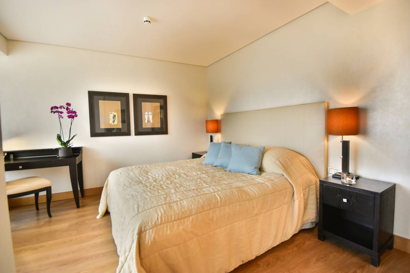 Plaza-Resort-Hotel-Room-23