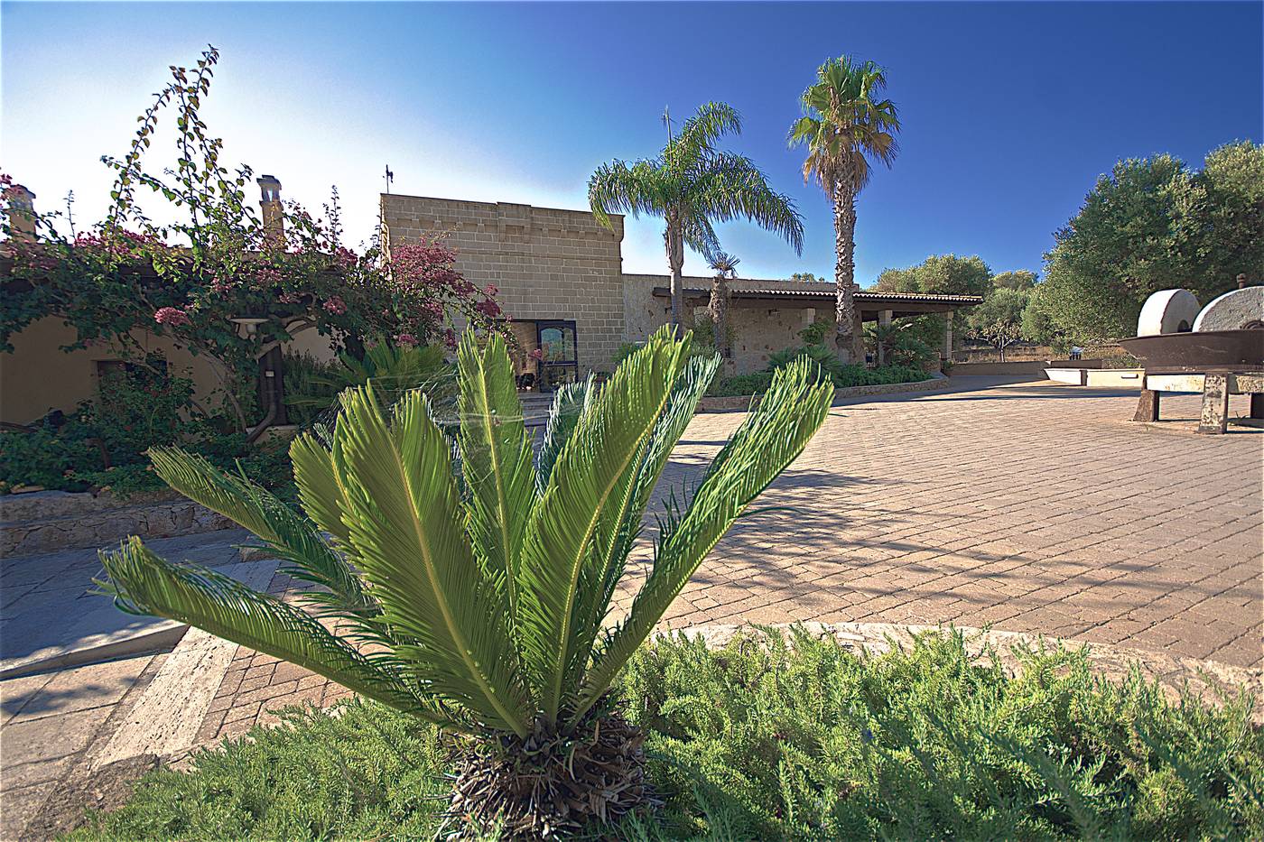 Hotel Resort Ristorante Masseria Le Pajare-Italy-PRESICCE-General view-6