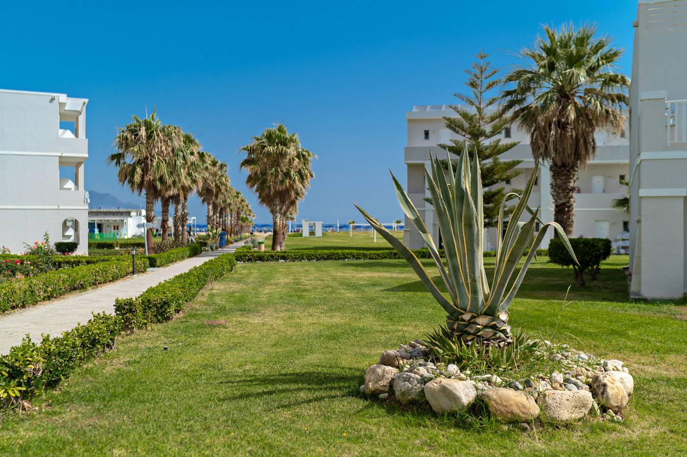 Delfina-beach-General-view-44