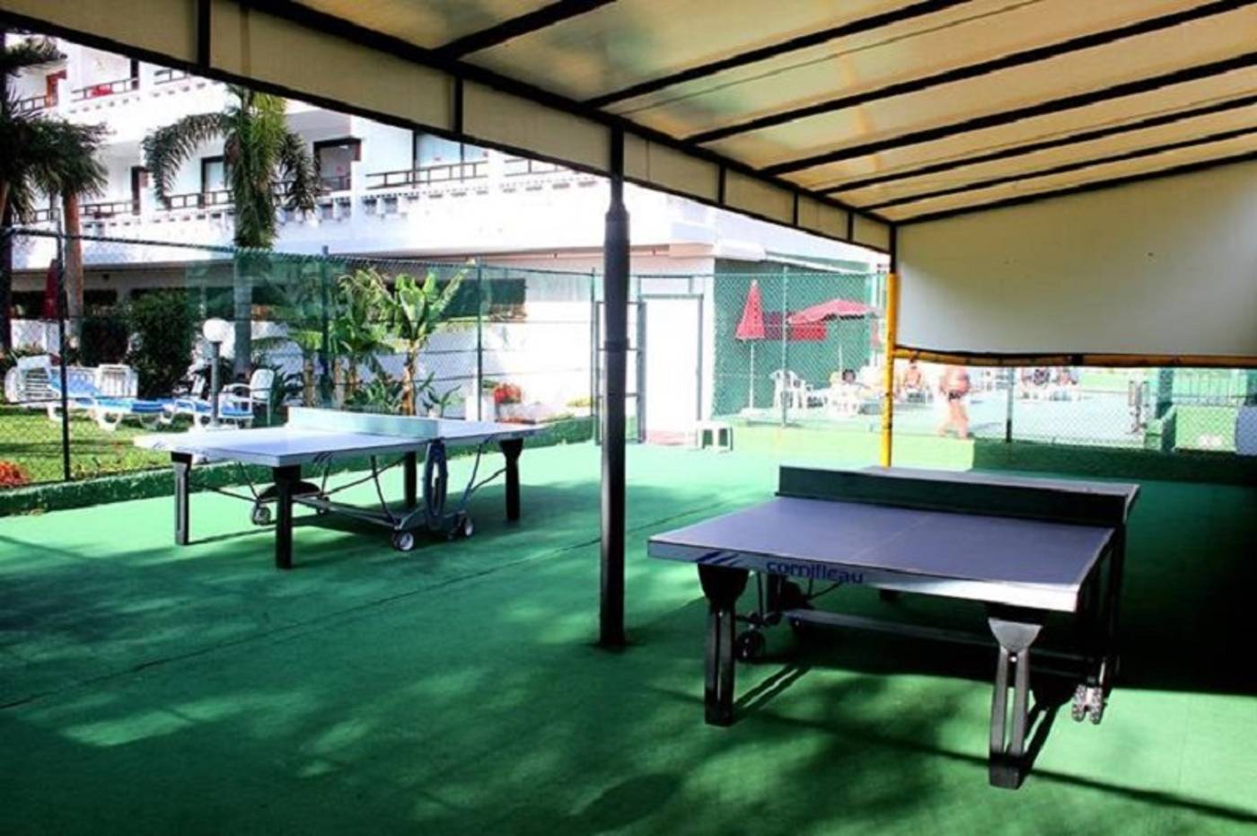 Masaru-Sports-and-Entertainment-23