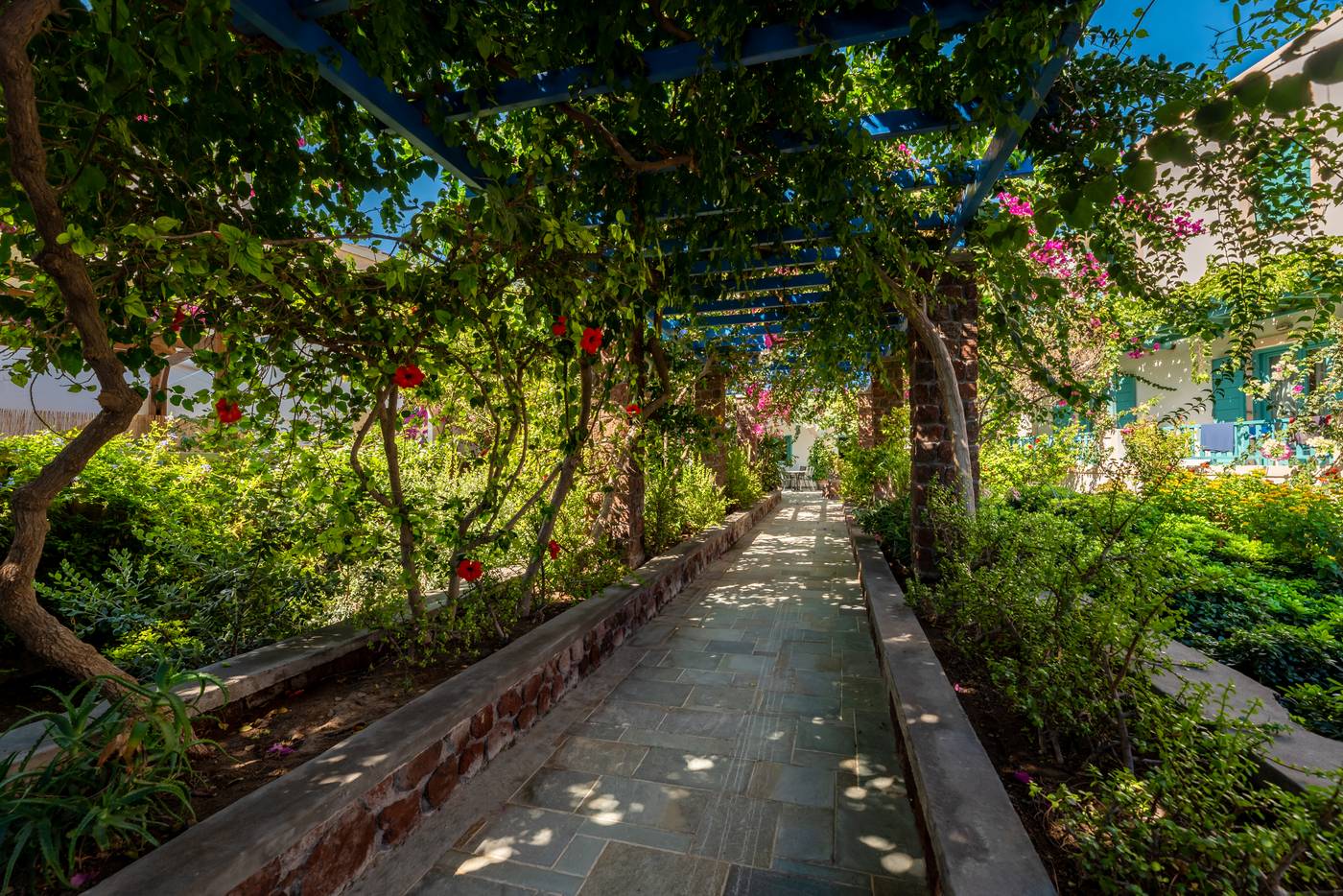 Andreas-Aparthotel-Terrace-12