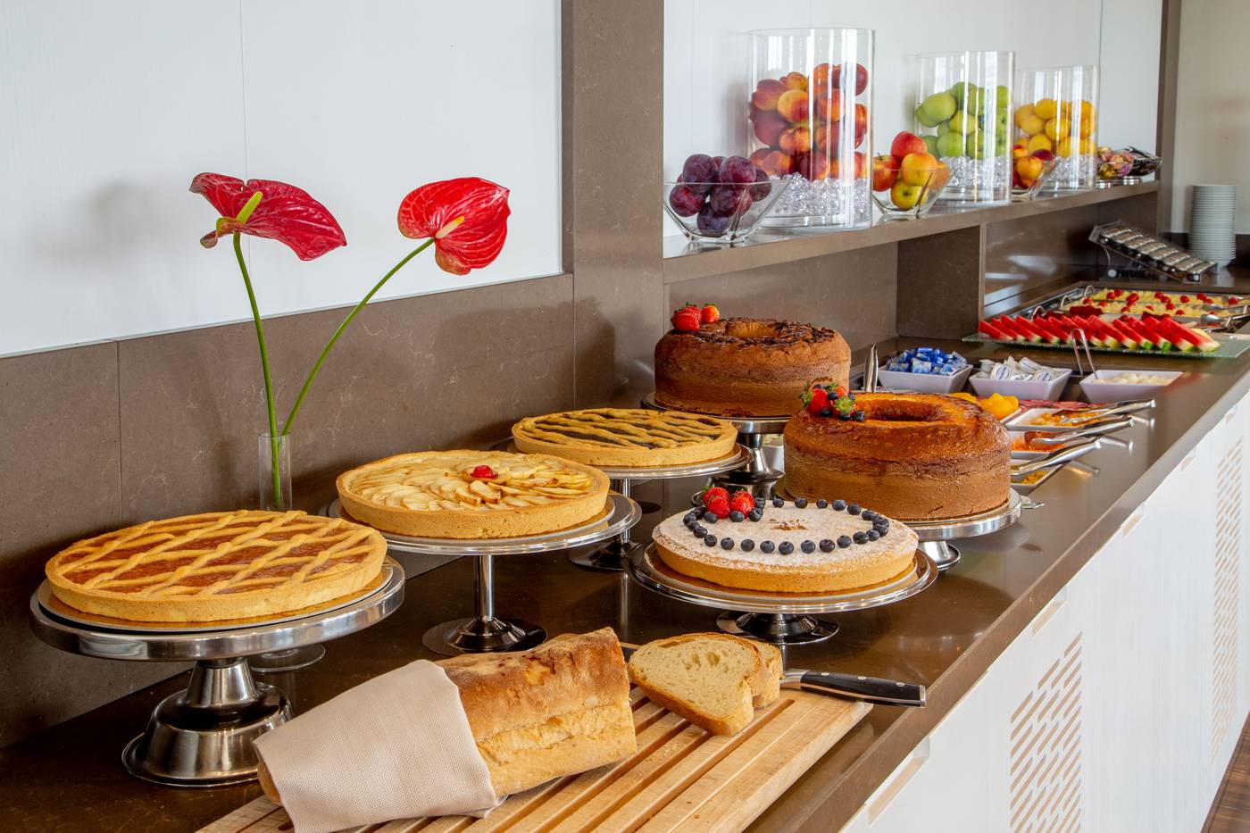 Gioberti-General-view-31