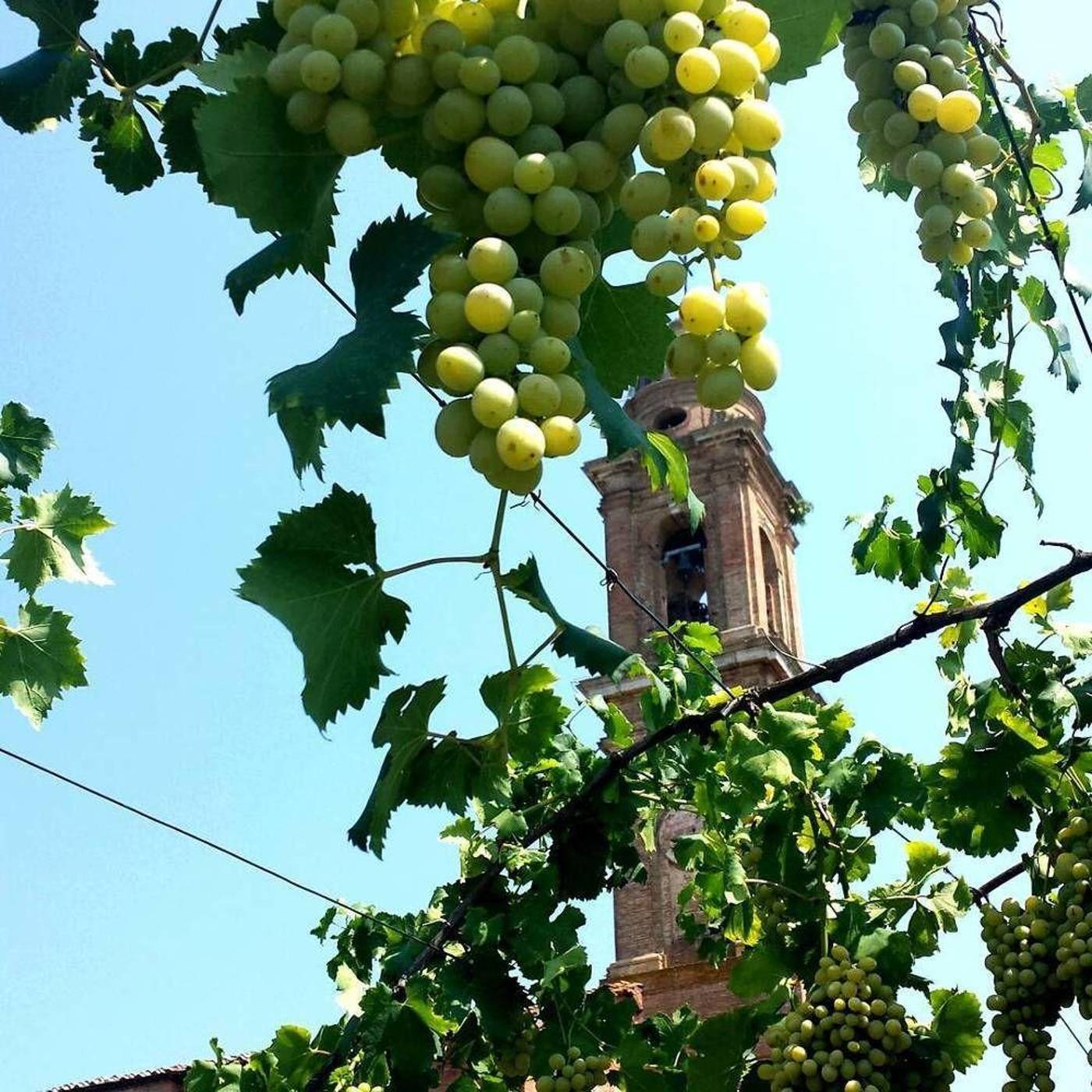 Certosa-di-Maggiano-General-view-63