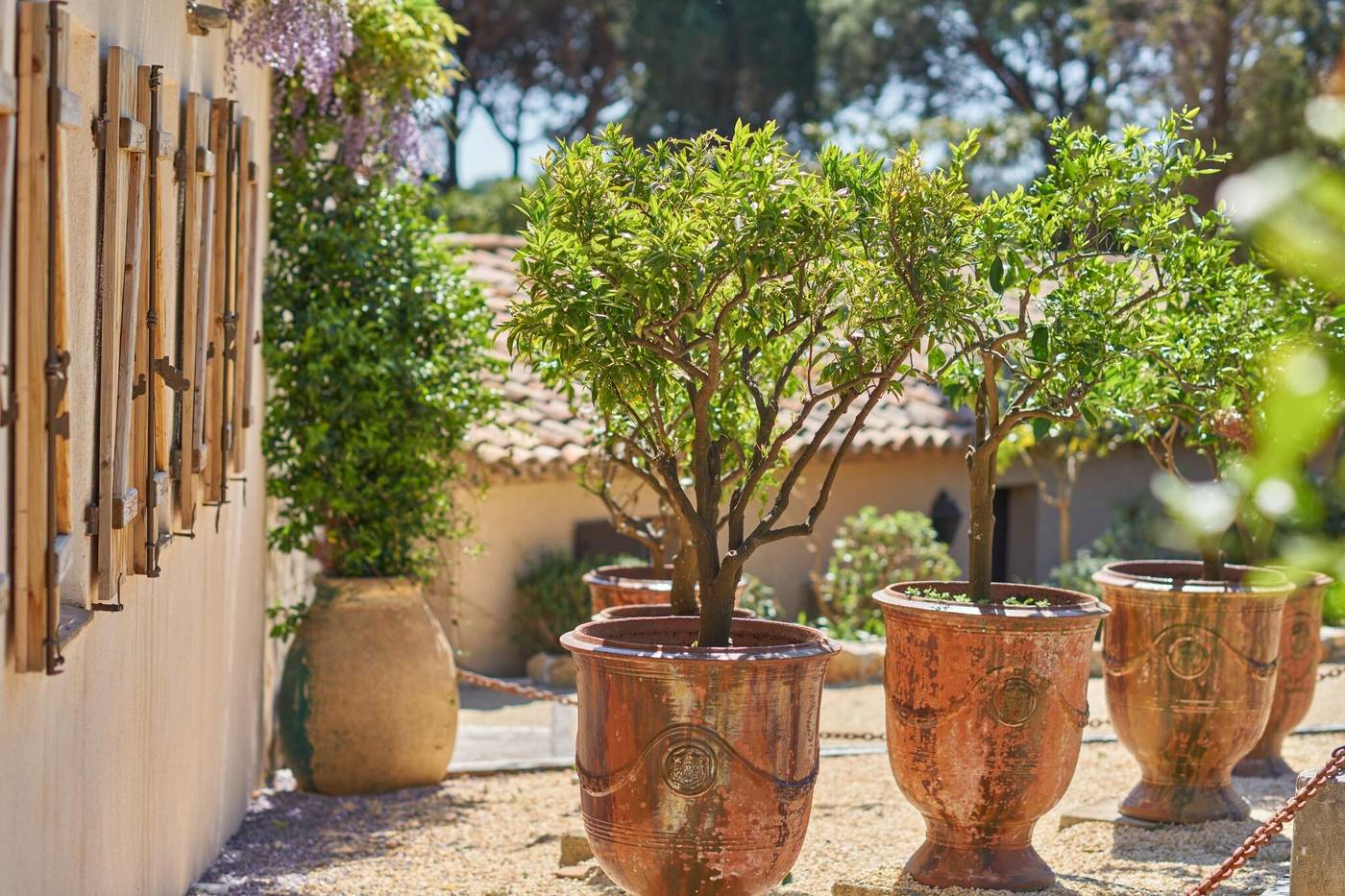 La-Ferme-D-Augustin-General-view-7
