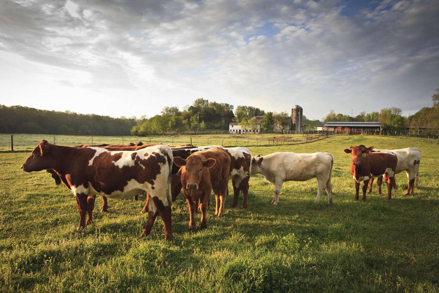 The Hermitage Hotel-United States-Nashville-General view-6