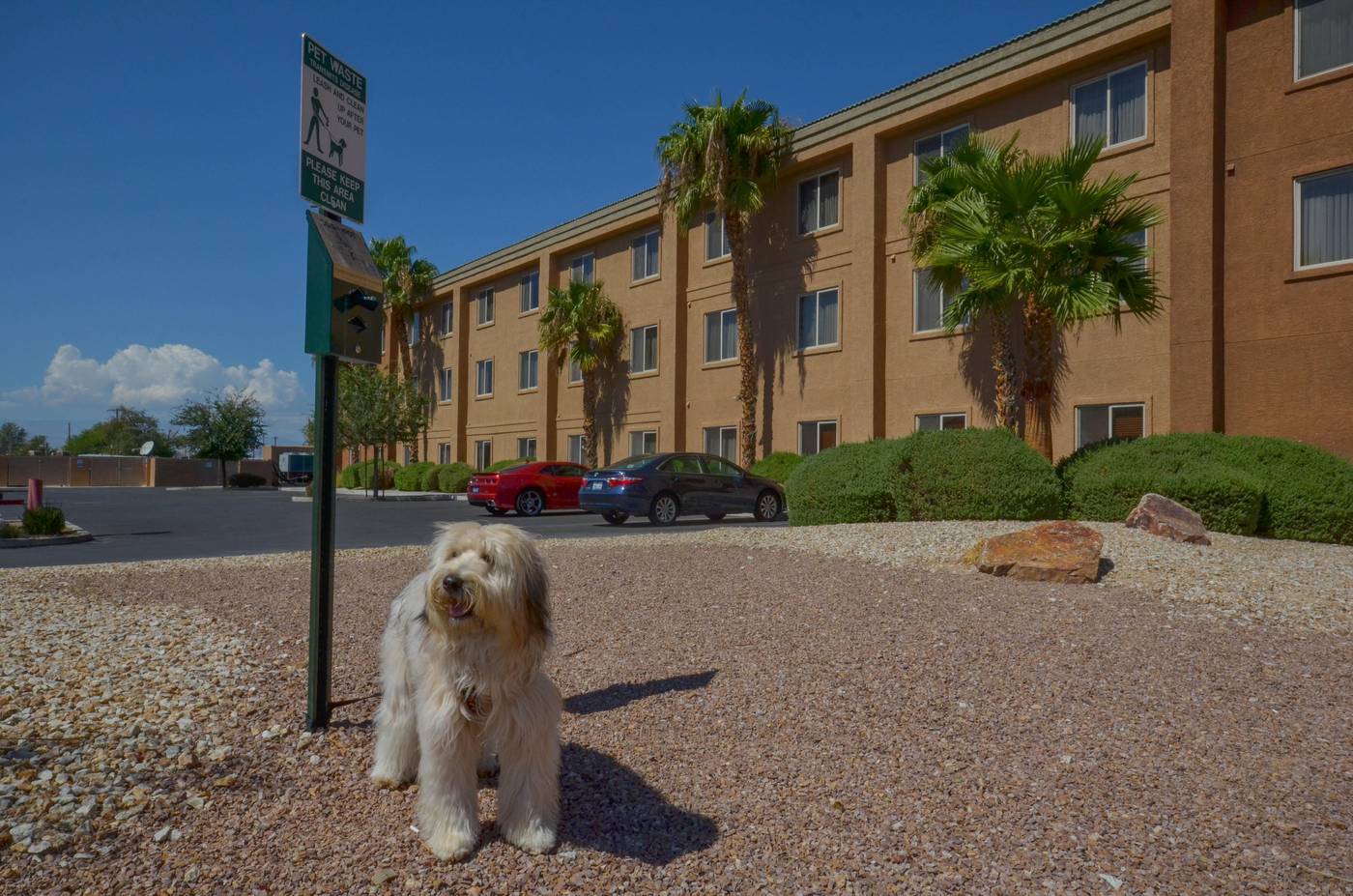 Holiday Inn Express Las Vegas-Nellis-United States-Las Vegas-General view-6