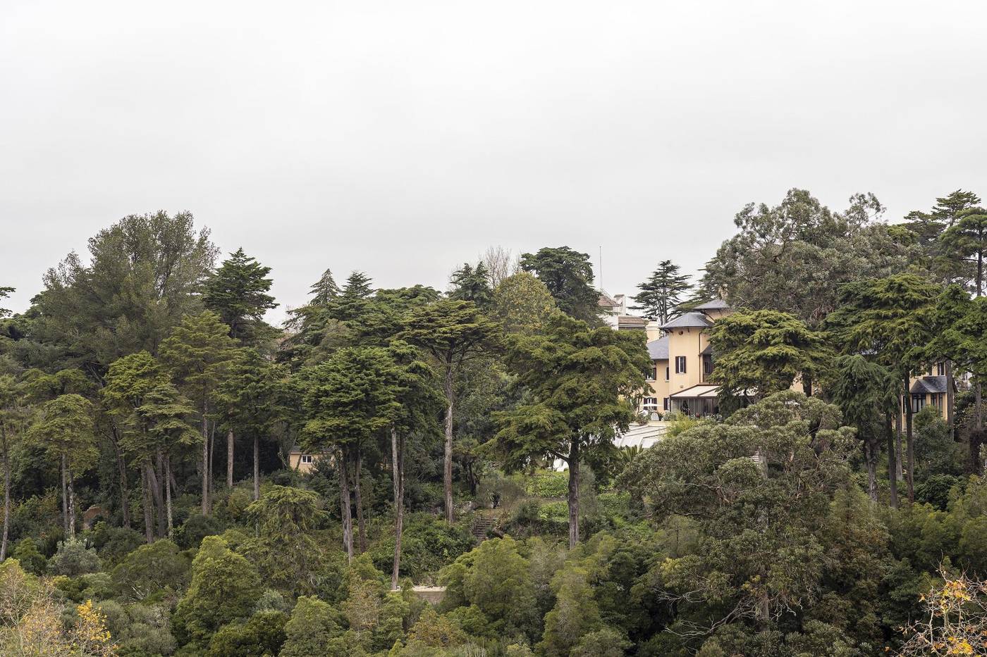 Sintra Marmoris Camélia-Portugal-Sintra-General view-6