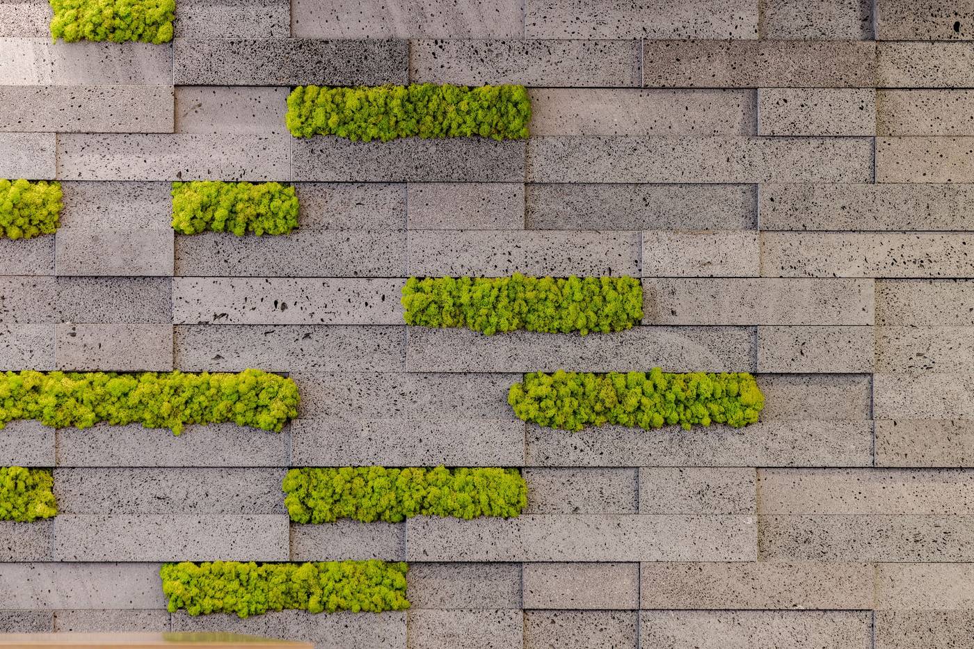 Neat-Hotel-Avenida-Bar-2