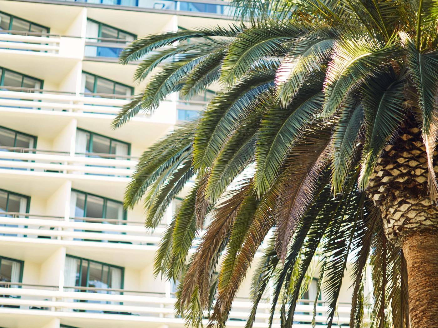 Fairmont-Miramar-Hotel---Bungalows-Room-67