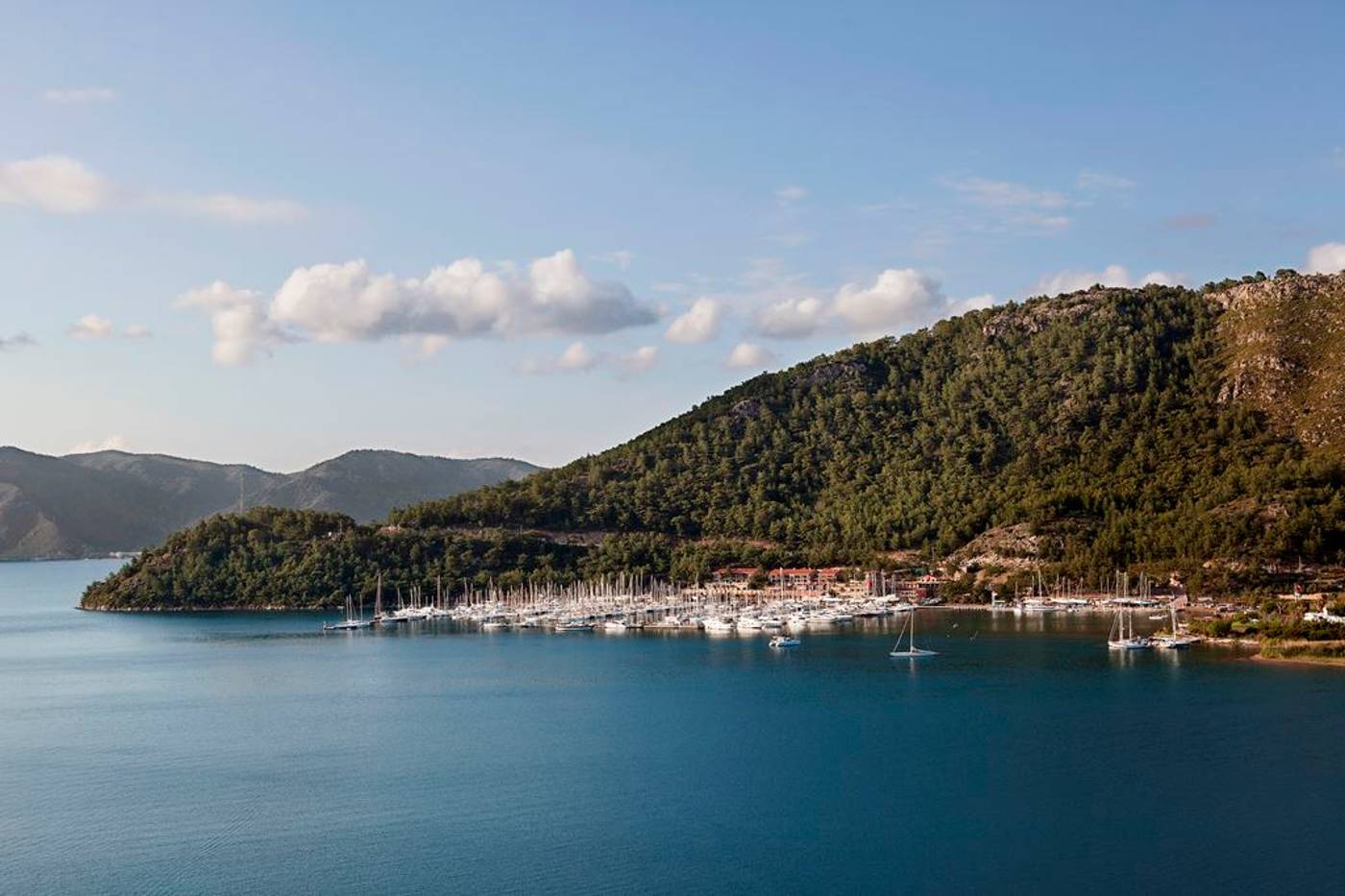 Marti-Hemithea-General-view-45