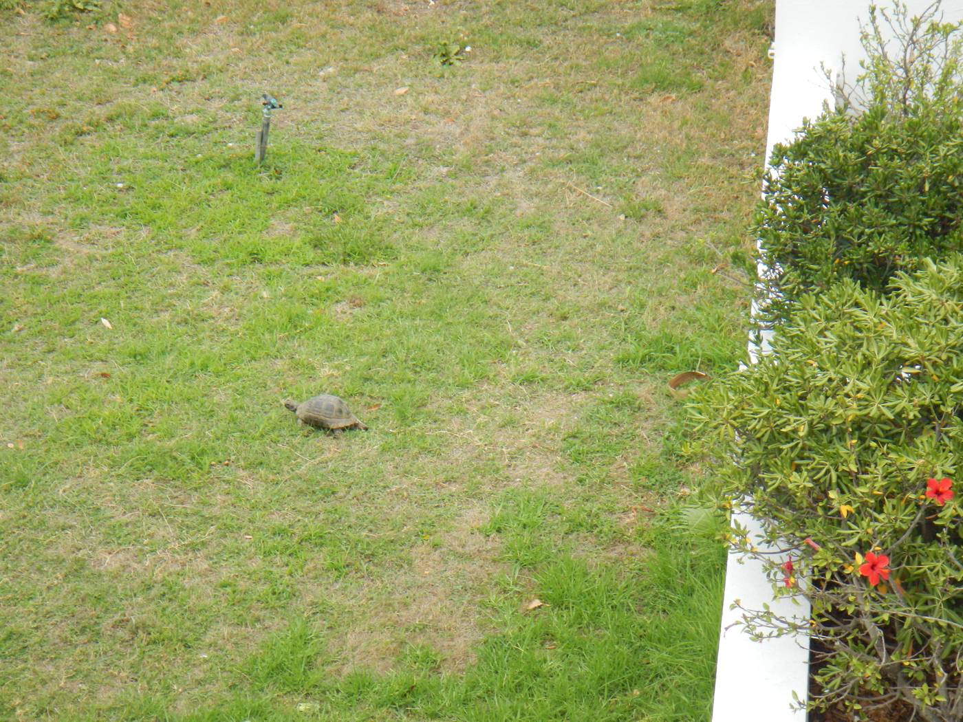 Archipelagos-Hotel-Room-25