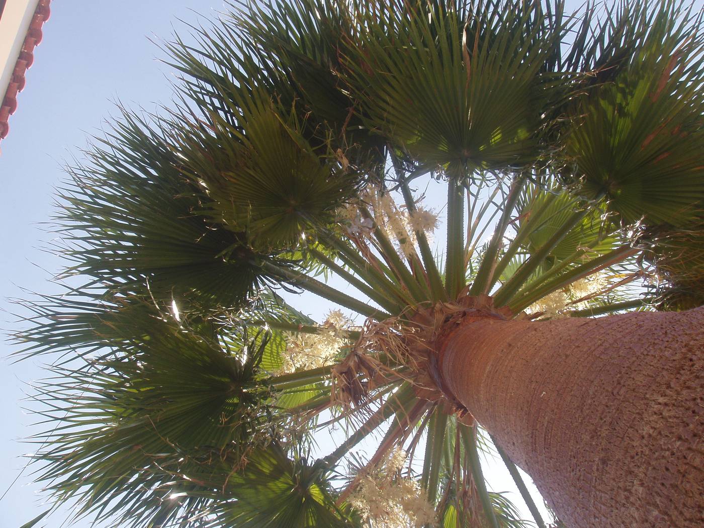 Paradise-Apartments-And-Studios-Room-26