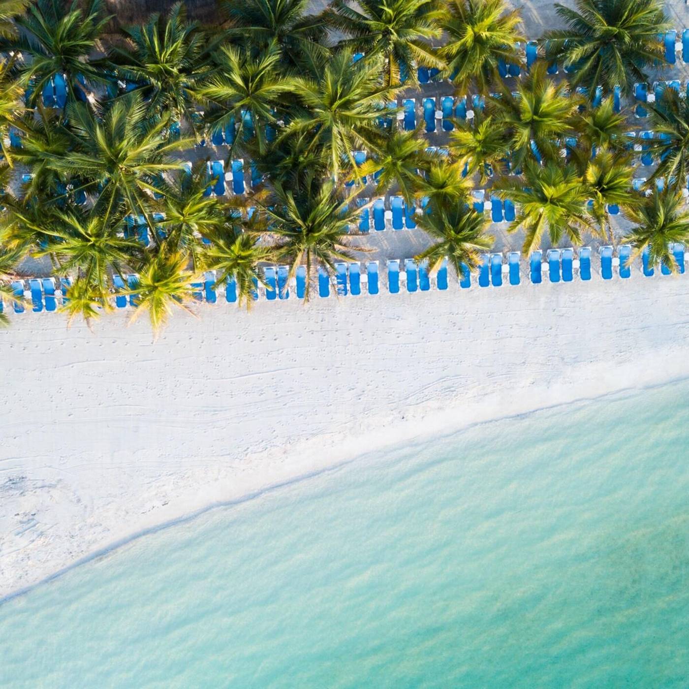 Occidental-Costa-Canc----n-Beach-77