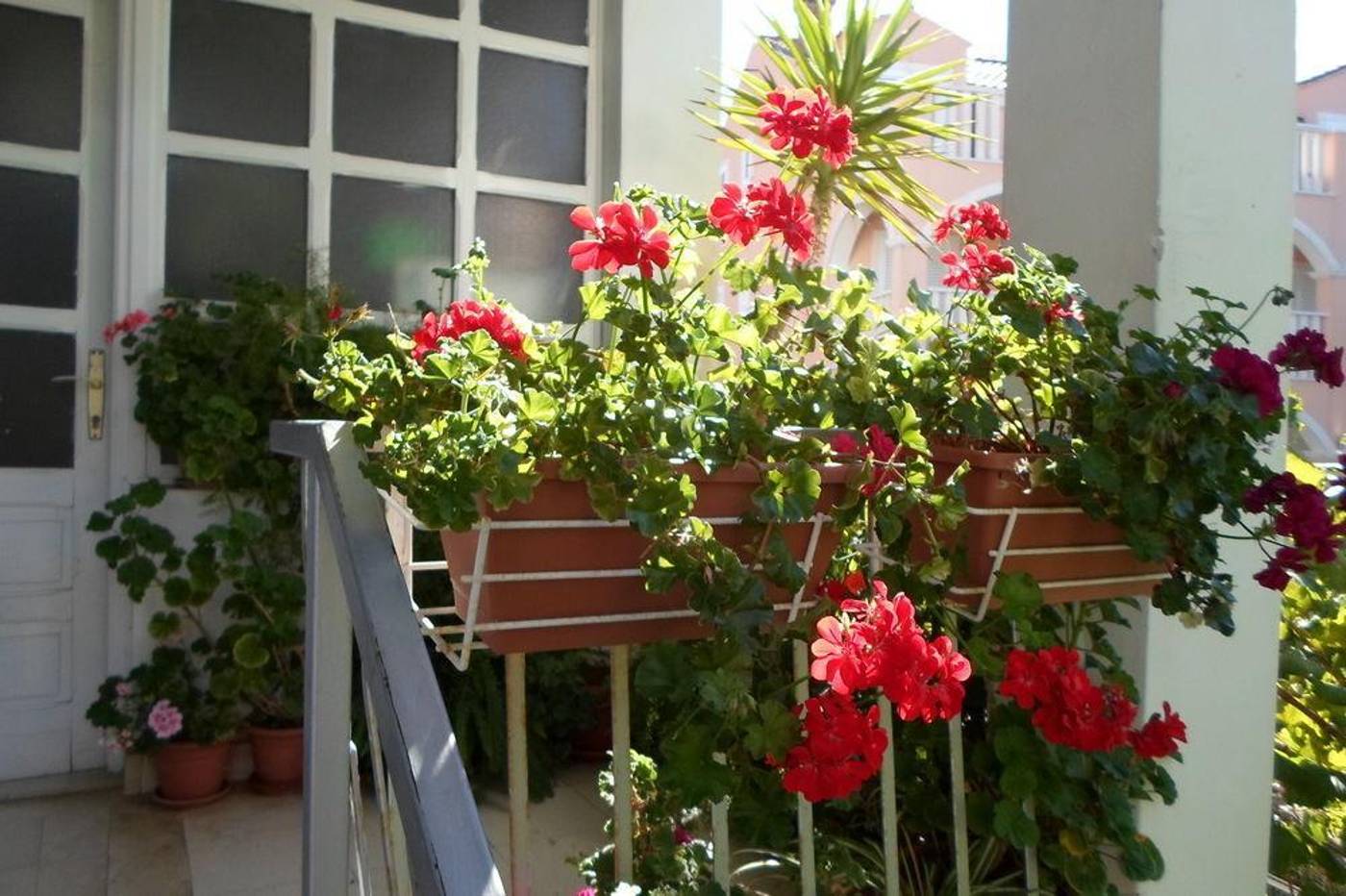 Pansion-Lovac-General-view-2