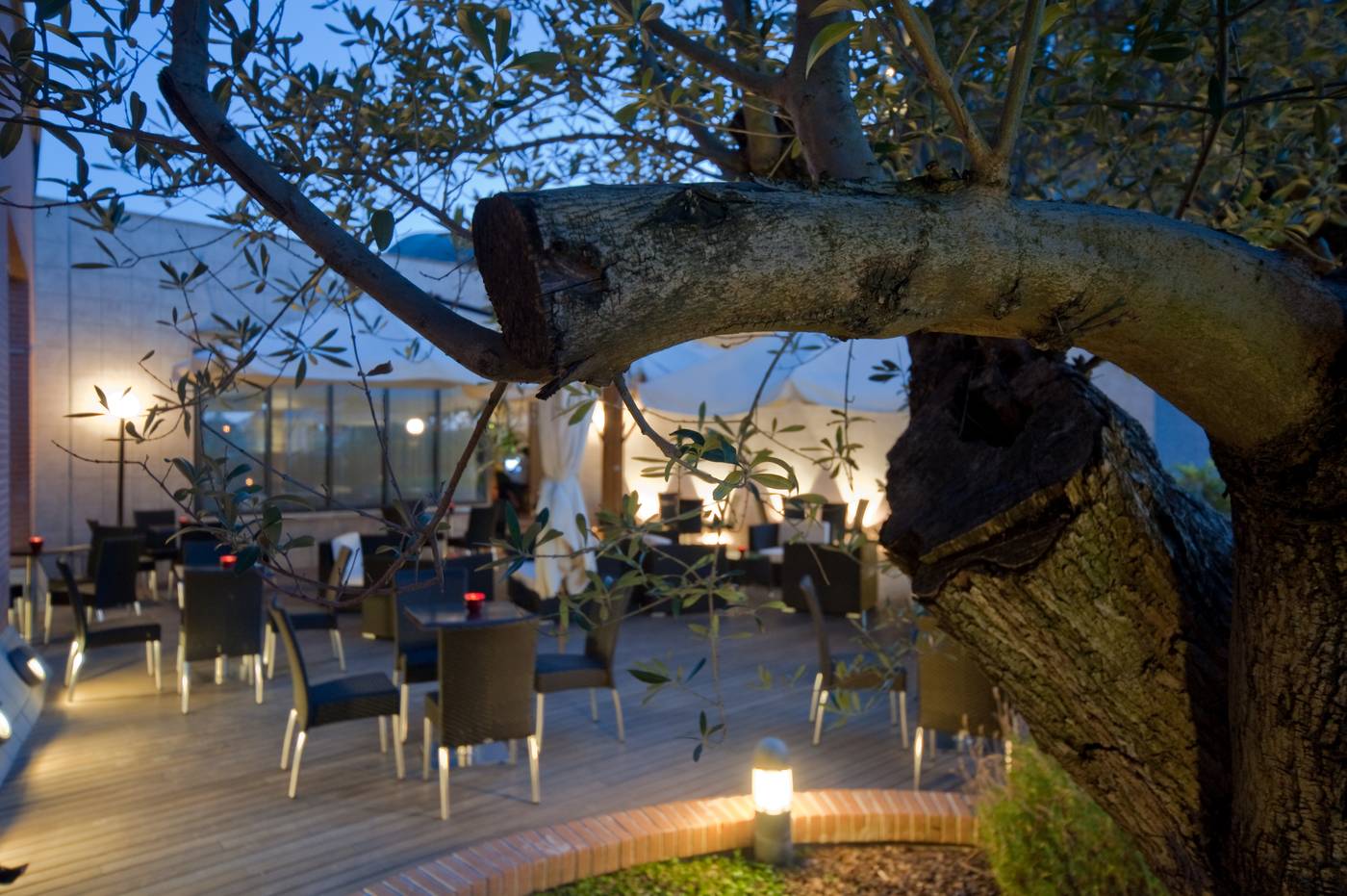 Roma-Aurelia-Antica-Bar-24